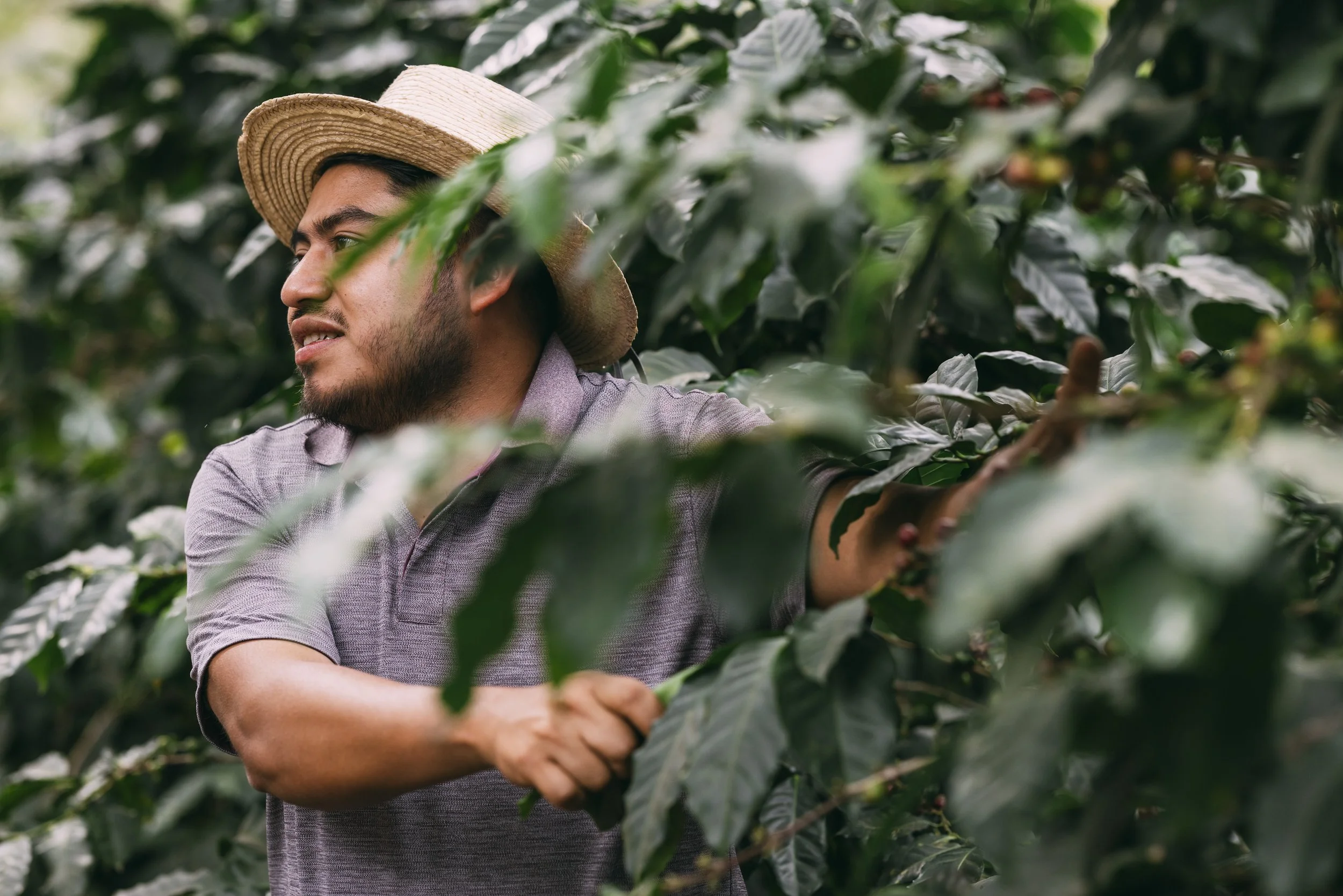 Flashpack_2025_Guatemala_Coffee_Farm_Visit_Alina_Tsvor9335.jpg