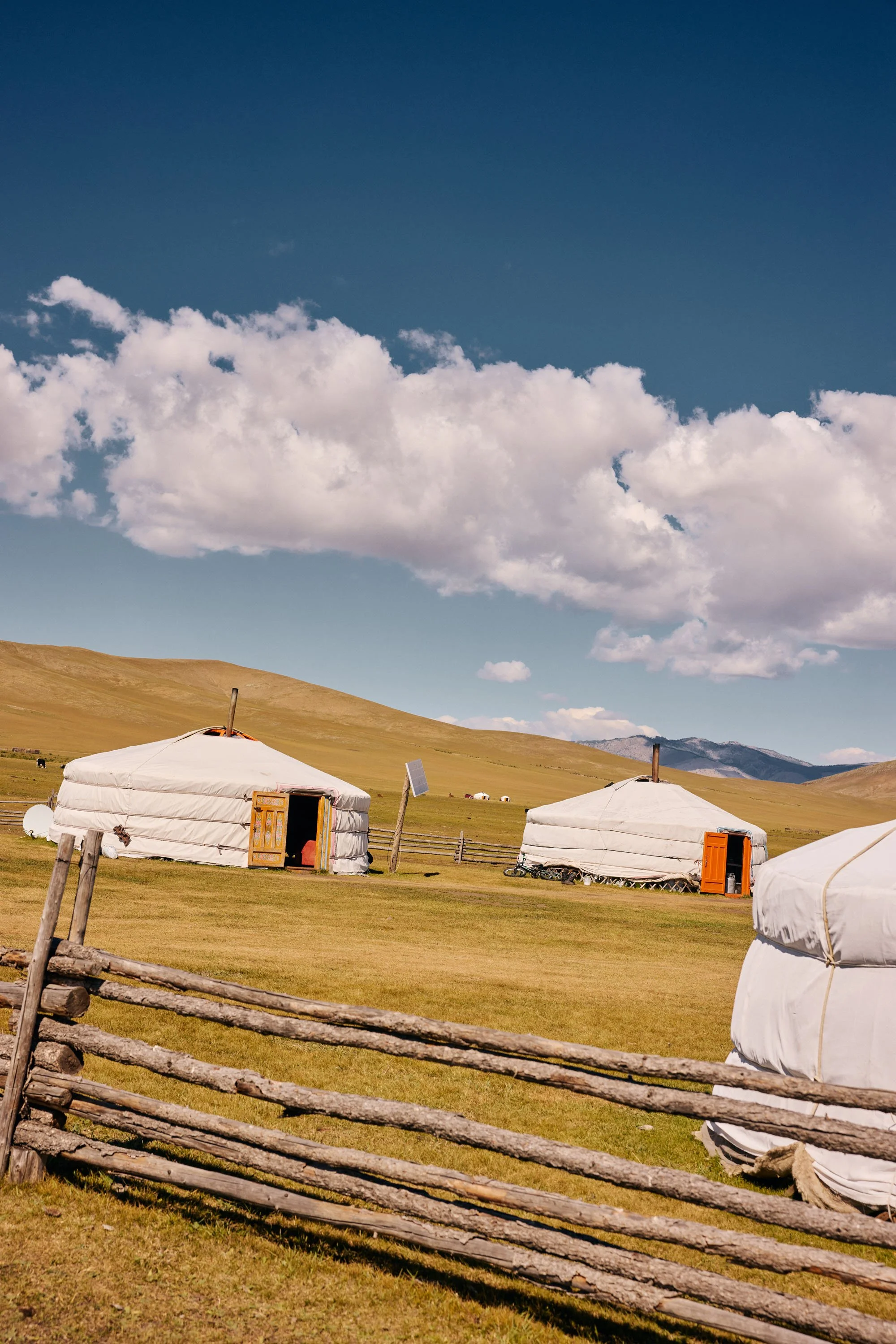 Khangai_Mongolia_20260909_Alina-Tsvor_0590.jpg