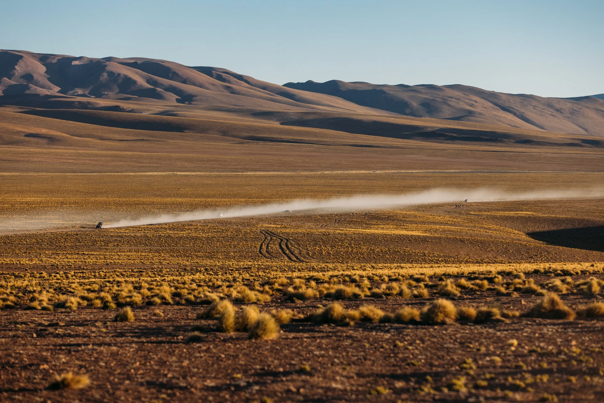 Bolivia_20220414_Alina-Tsvor-457.jpg