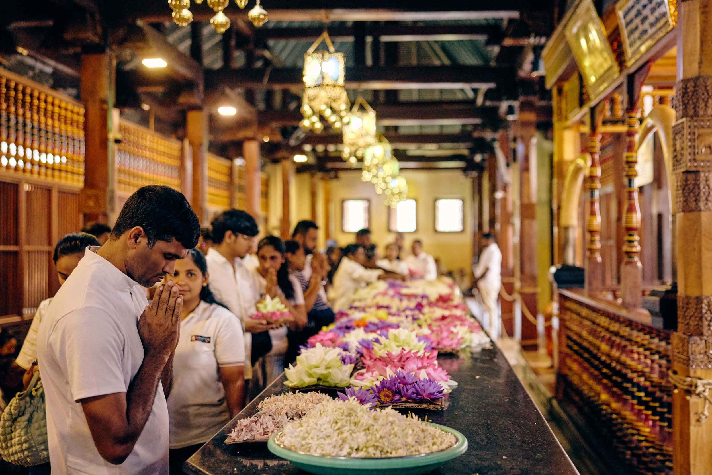 Kandy_Sri_Lanka_20260621_Alina-Tsvor_161.jpg