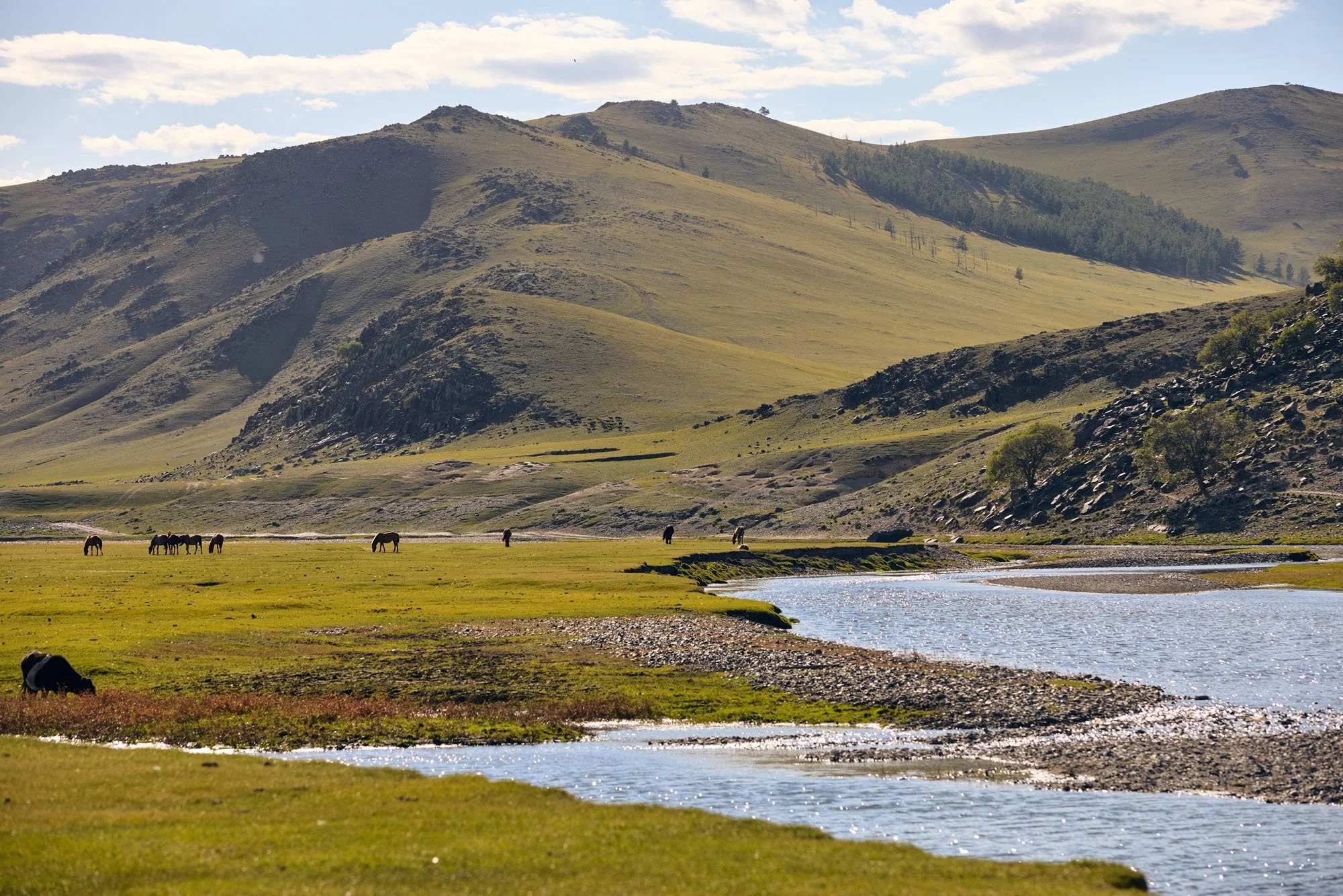 Kharkhorin_Mongolia_20260911_Alina-Tsvor_1075.jpg