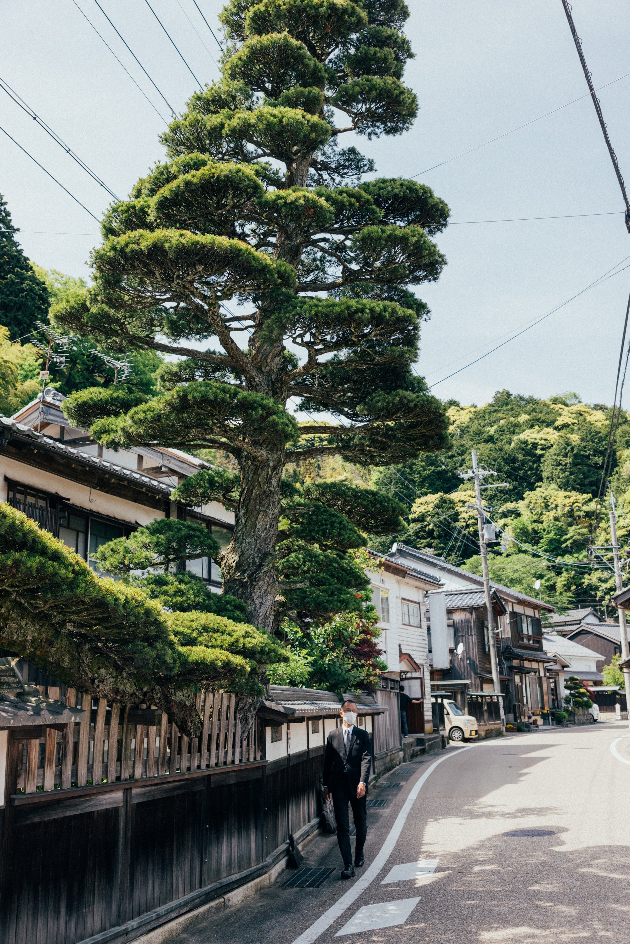 Ine_Kyoto_Japan_20230512_AlinaTsvor-819.jpg