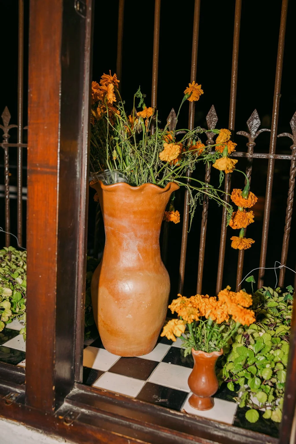 Antigua_Guatemala_20231104(AlinaTsvor)-110.jpg