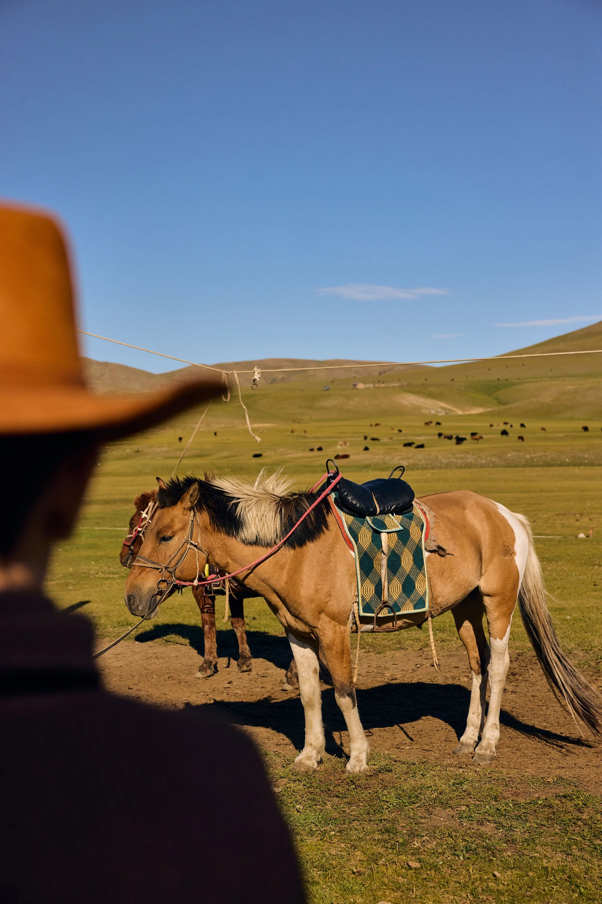 Kharkhorin_Mongolia_20260911_Alina-Tsvor_1040.jpg