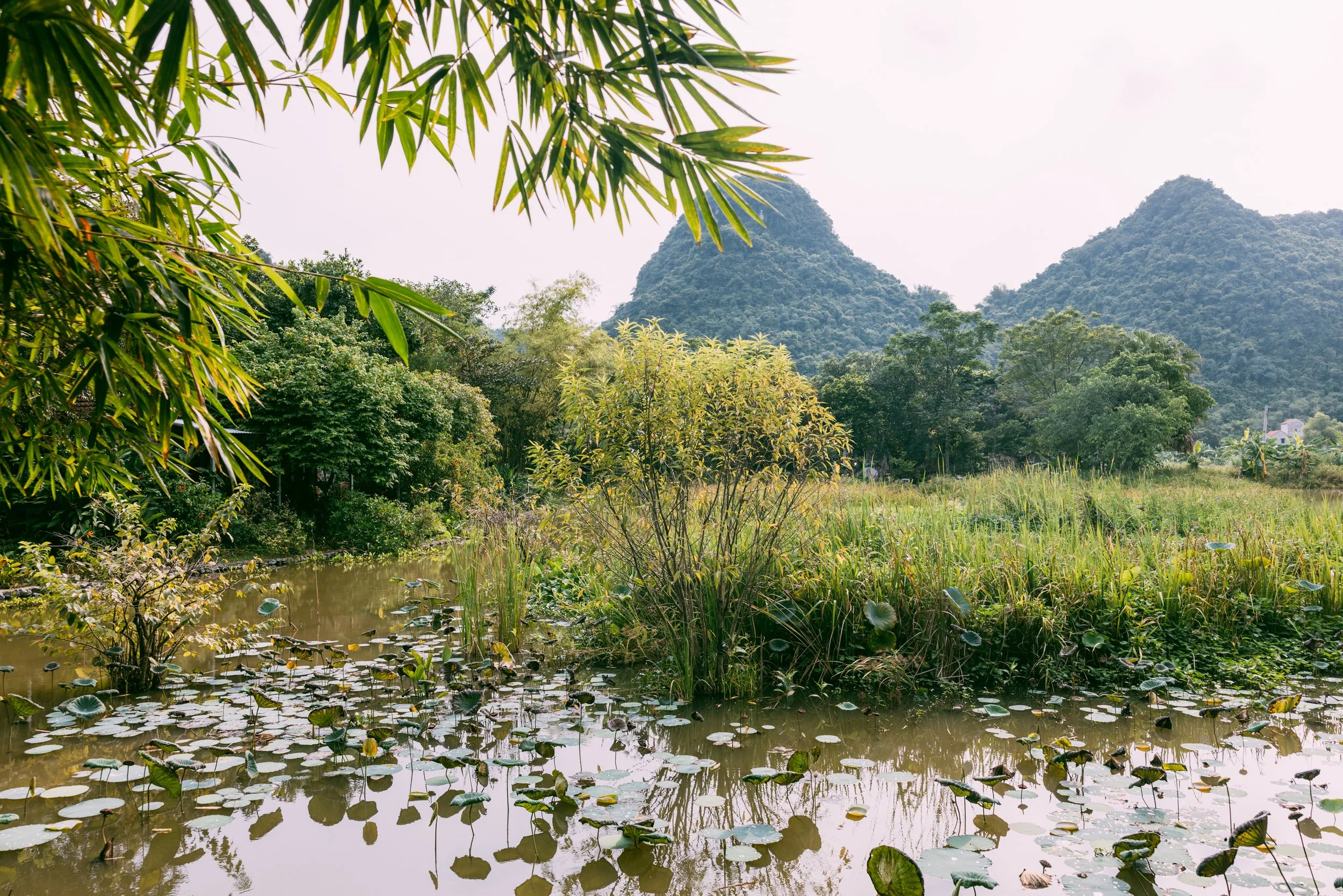 TamCoc_Vietnam_20230824 (Alina Tsvor)-1066.jpg