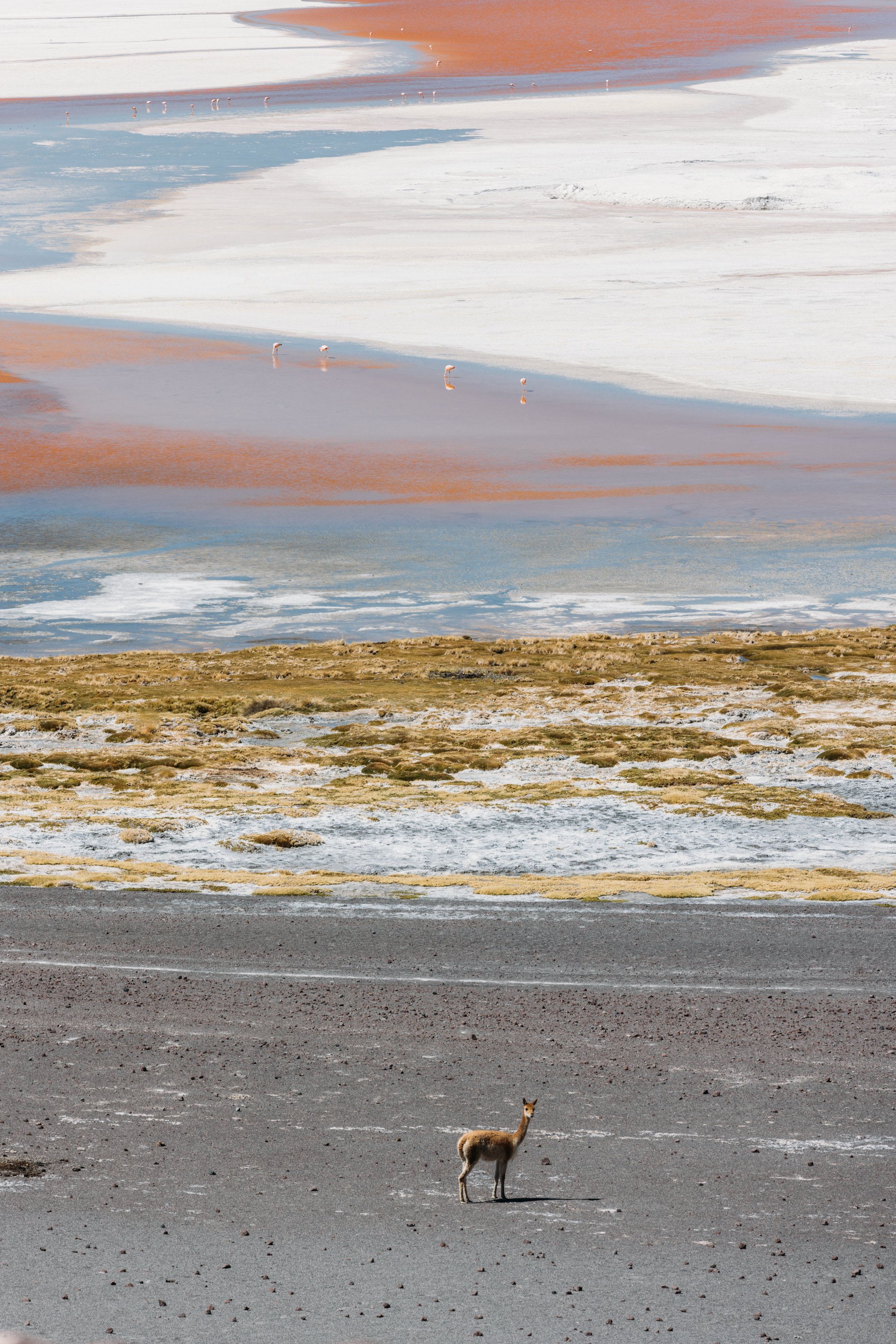 Bolivia_20220414_Alina-Tsvor-552.jpg