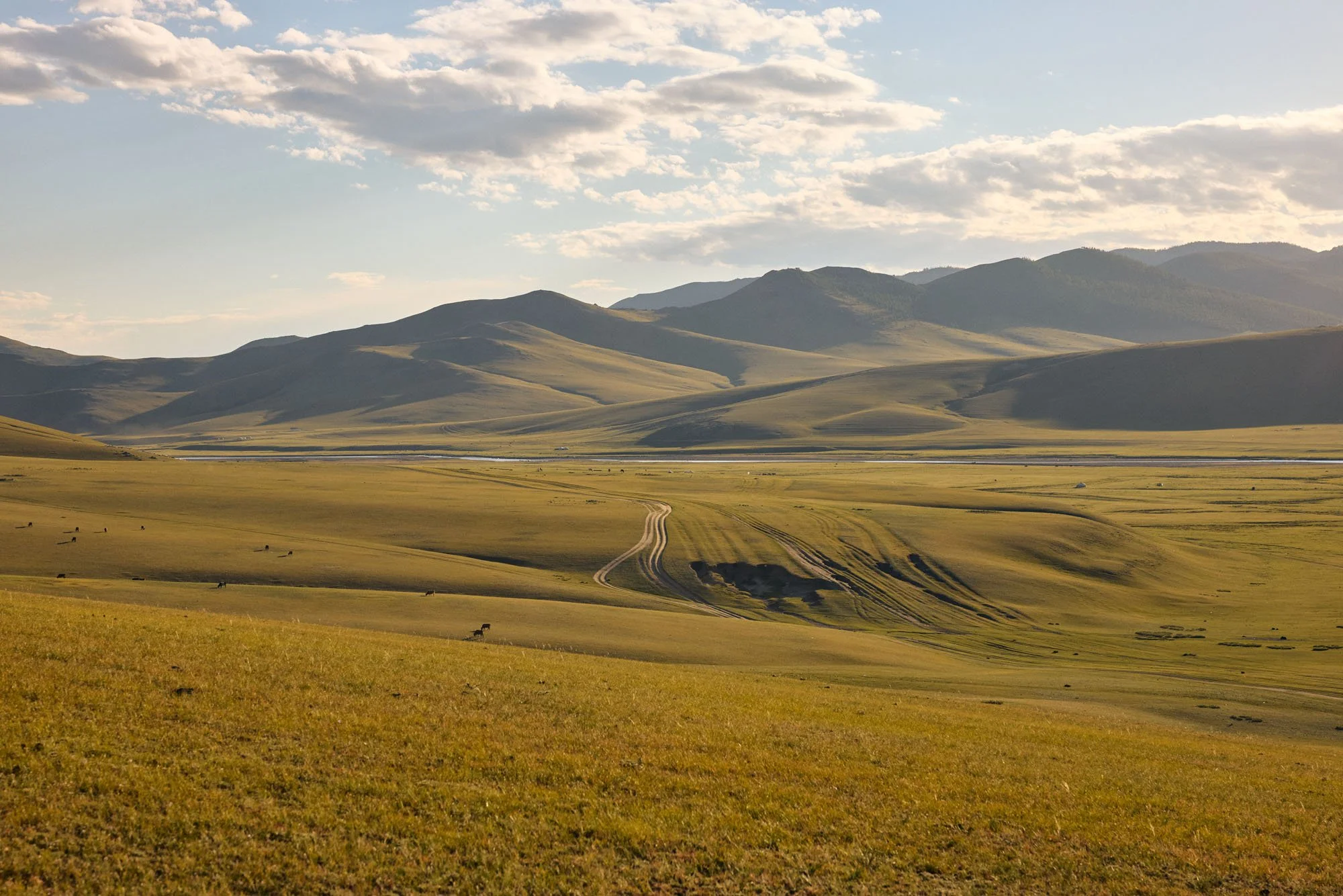 Kharkhorin_Mongolia_20260911_Alina-Tsvor_1245.jpg
