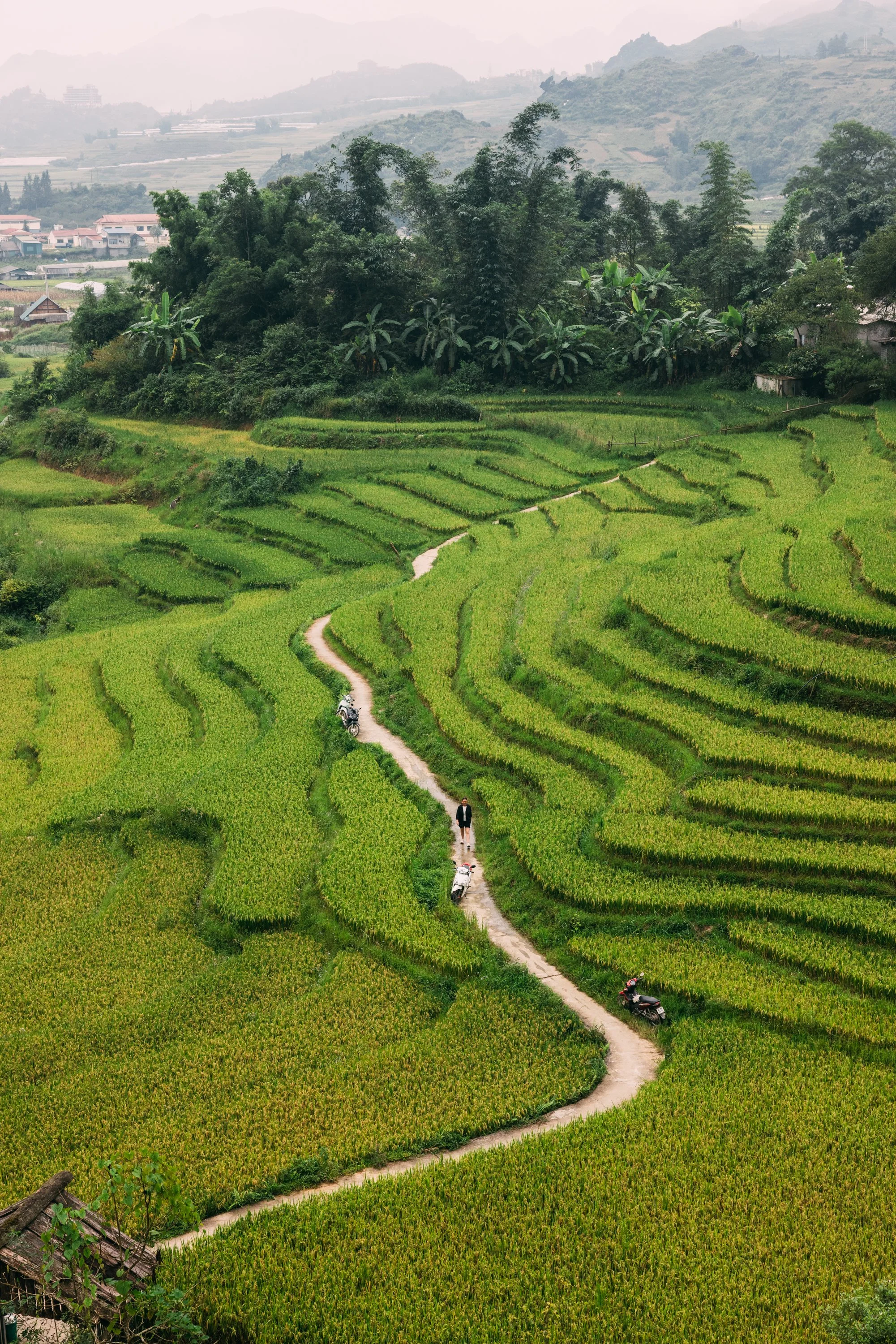 Sapa_Vietnam_20230823 (Alina Tsvor)-927.jpg