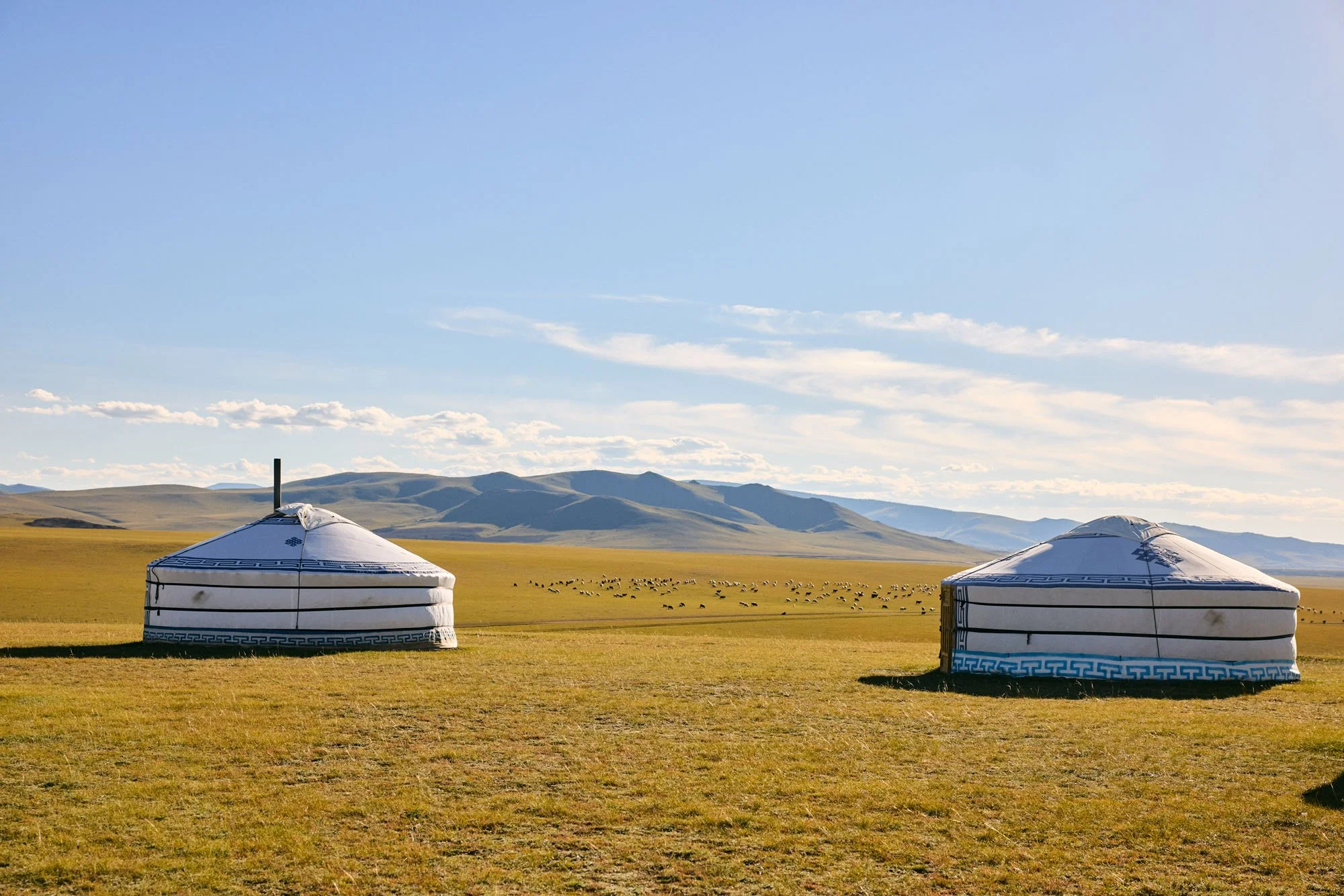 Orkhon_River_Valley_Mongolia_20260910_Alina-Tsvor_0796.jpg
