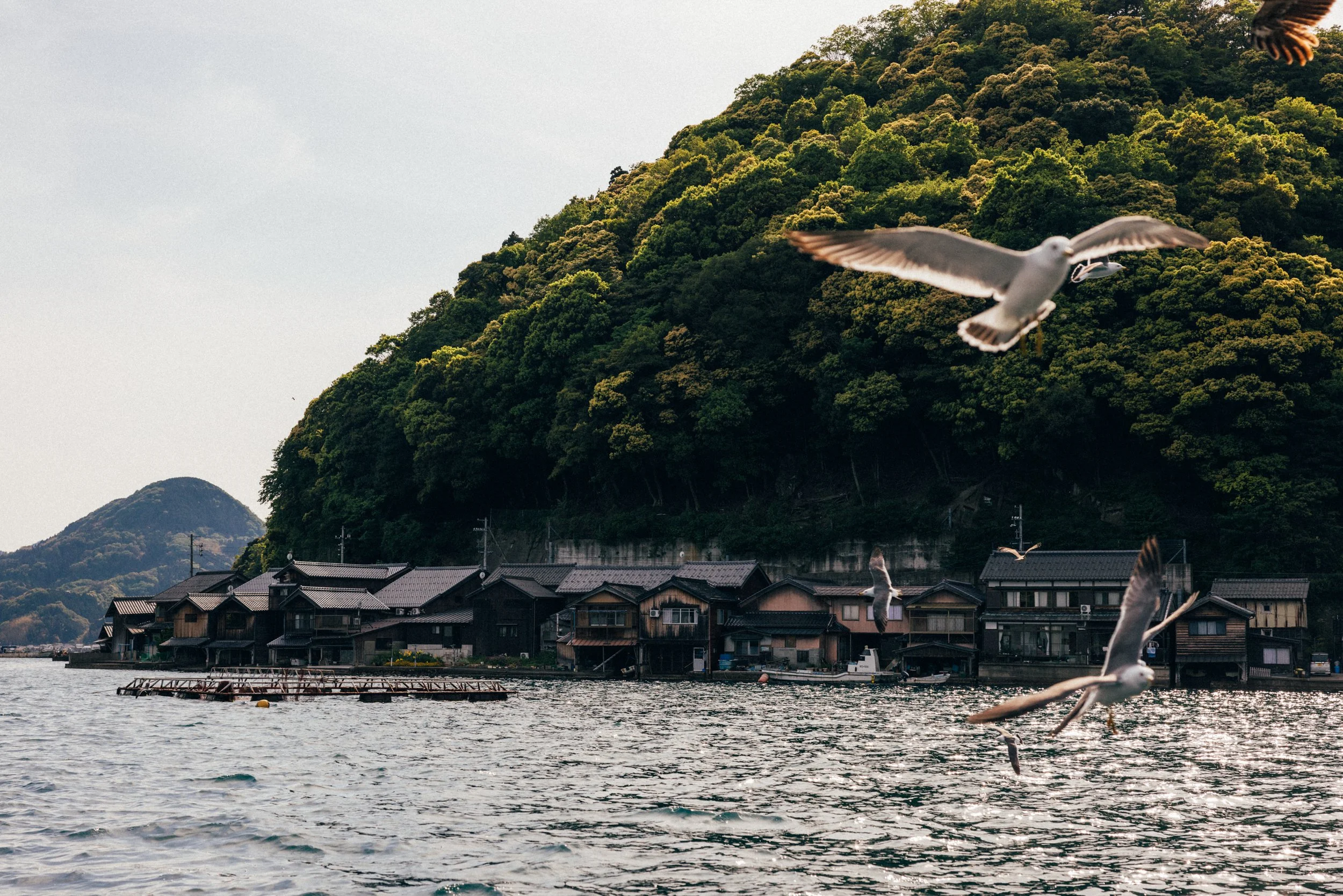 Ine_Kyoto_Japan_20230512_AlinaTsvor-900.jpg