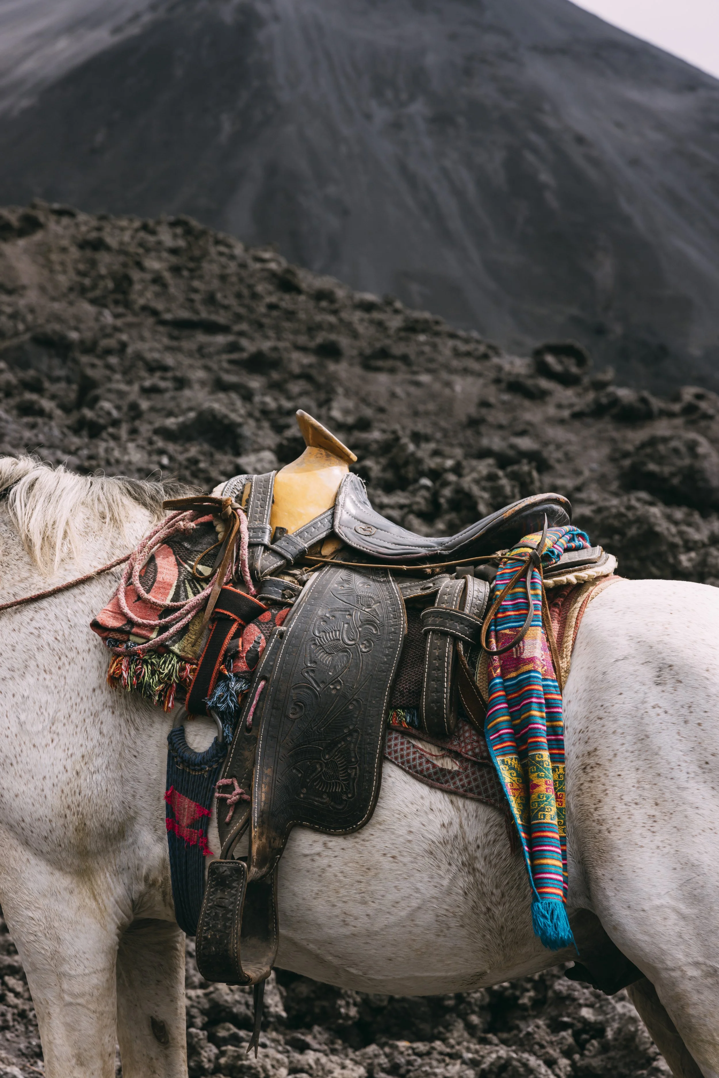 Flashpack_2025_Guatemala_Volcano_Hike_Alina_Tsvor2625.jpg