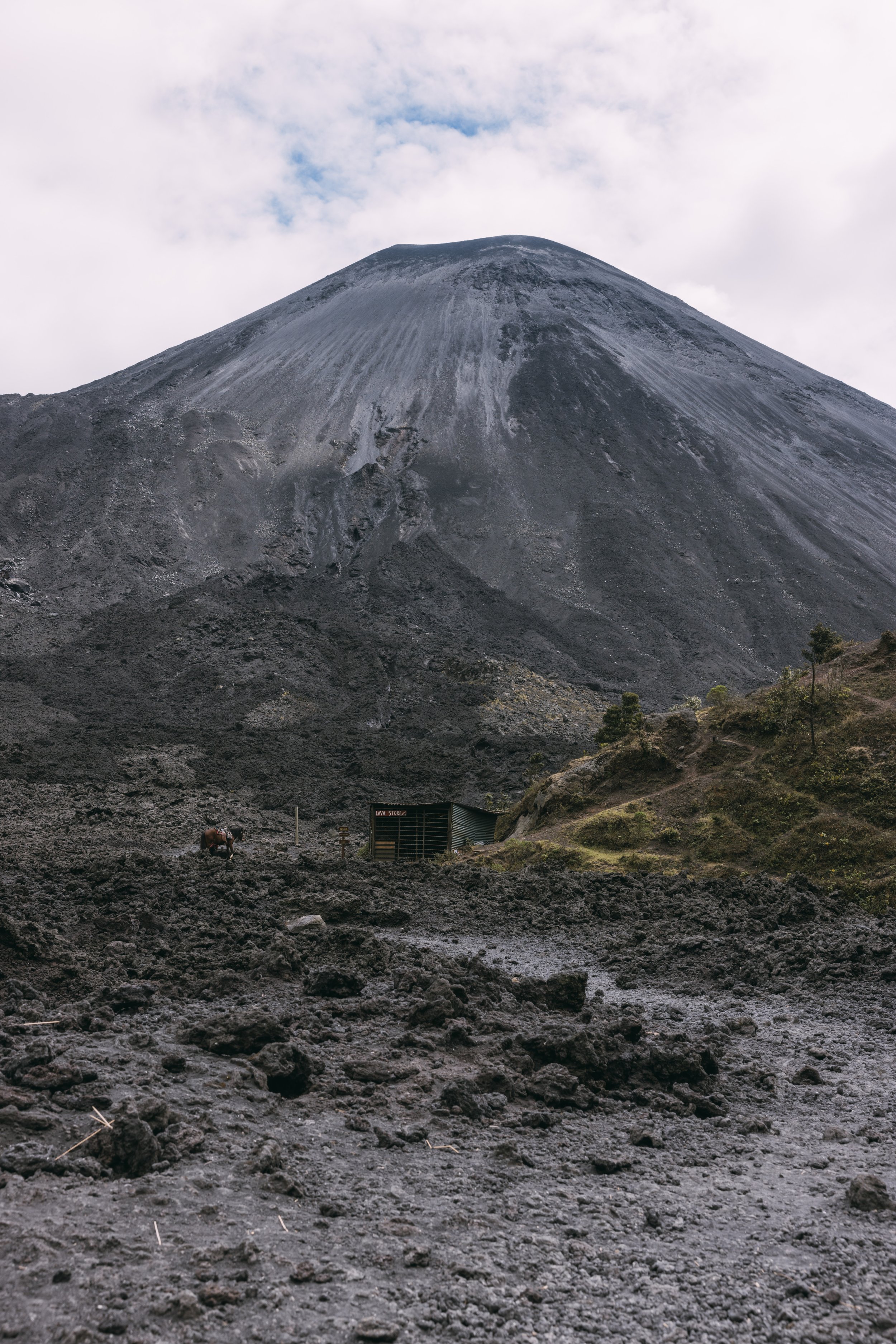 Flashpack_2025_Guatemala_Volcano_Hike_Alina_Tsvor2474.jpg