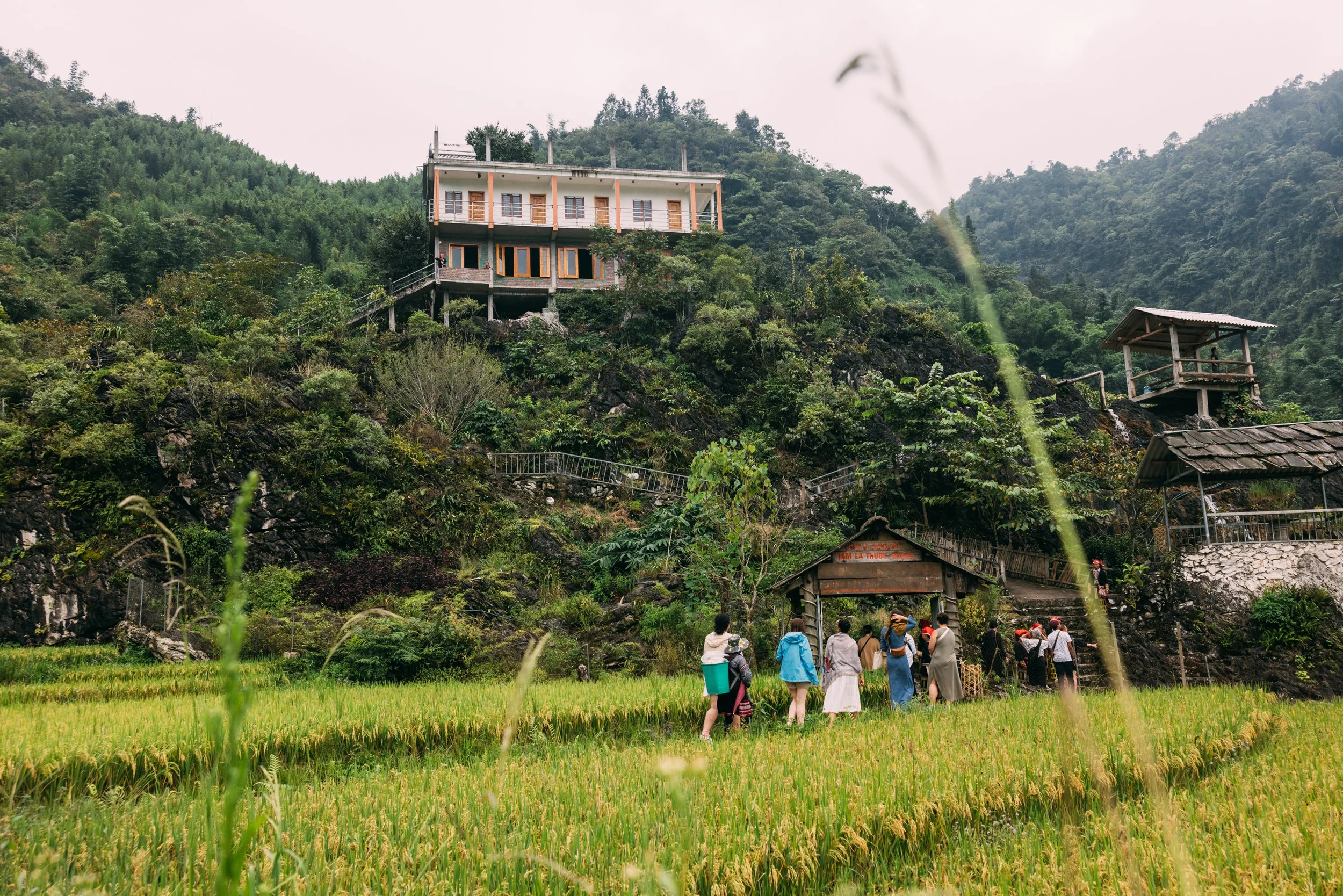 Sapa_Vietnam_20230823 (Alina Tsvor)-898.jpg