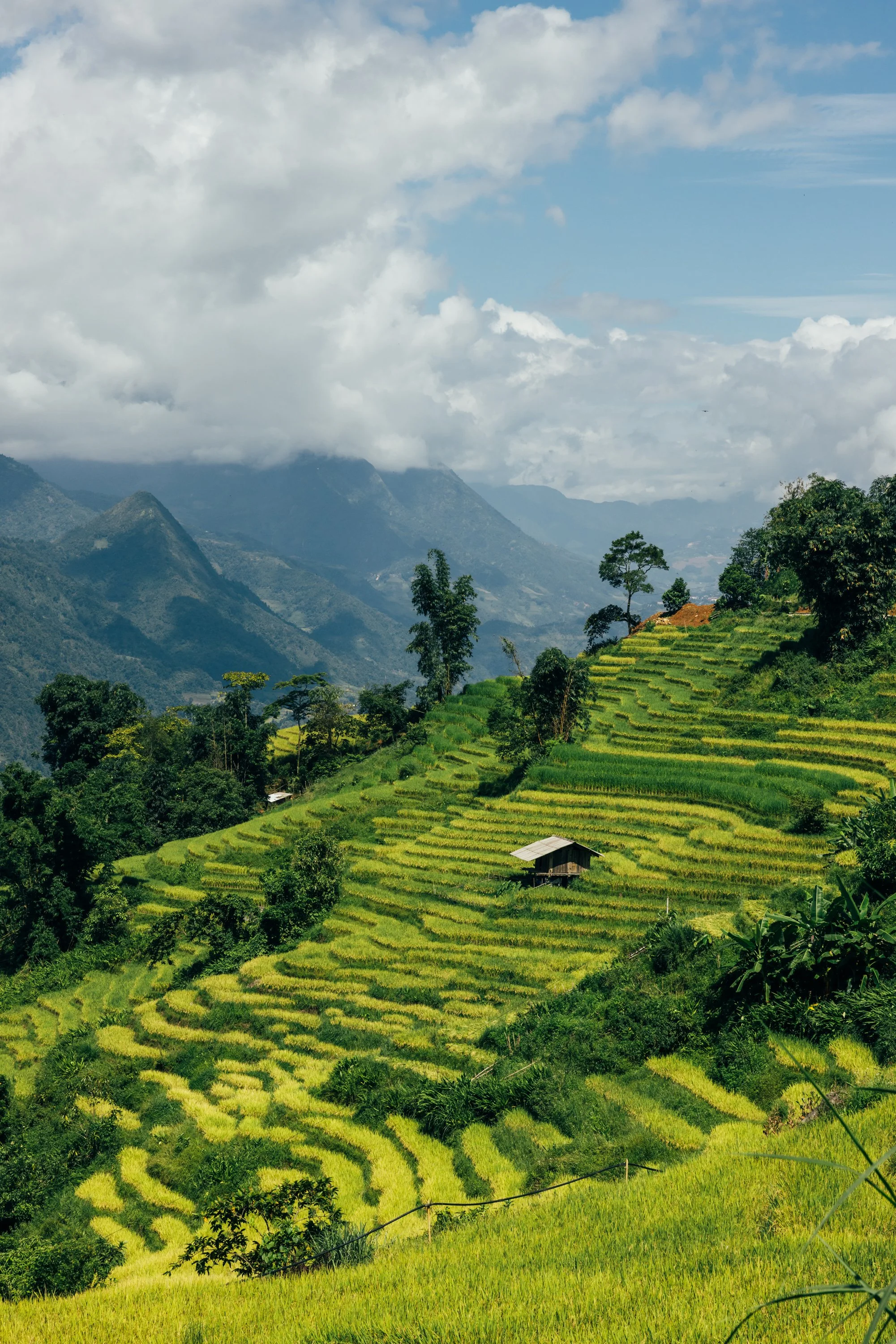 Sapa_Vietnam_20230822 (Alina Tsvor)-592.jpg
