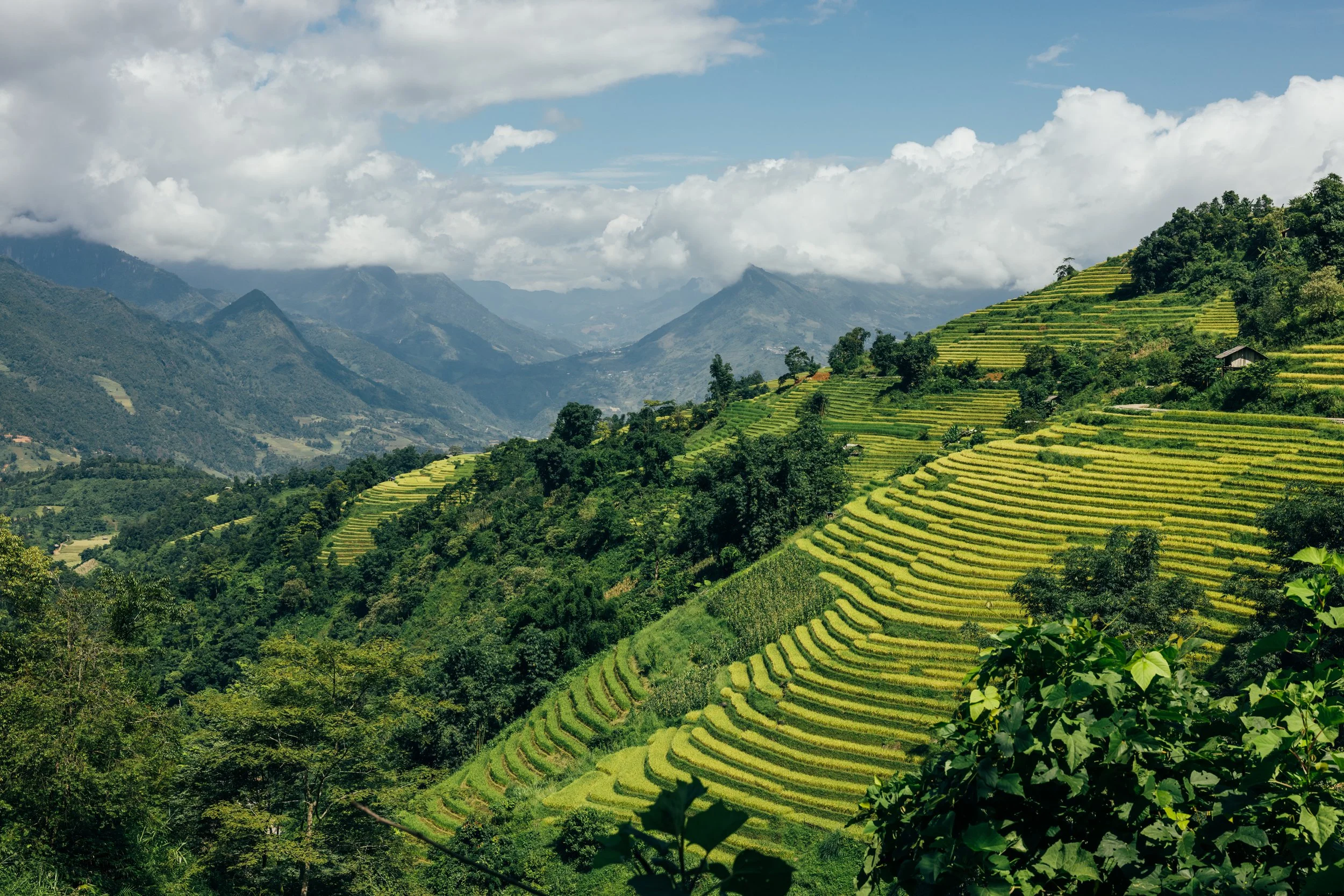 Sapa_Vietnam_20230822 (Alina Tsvor)-568.jpg