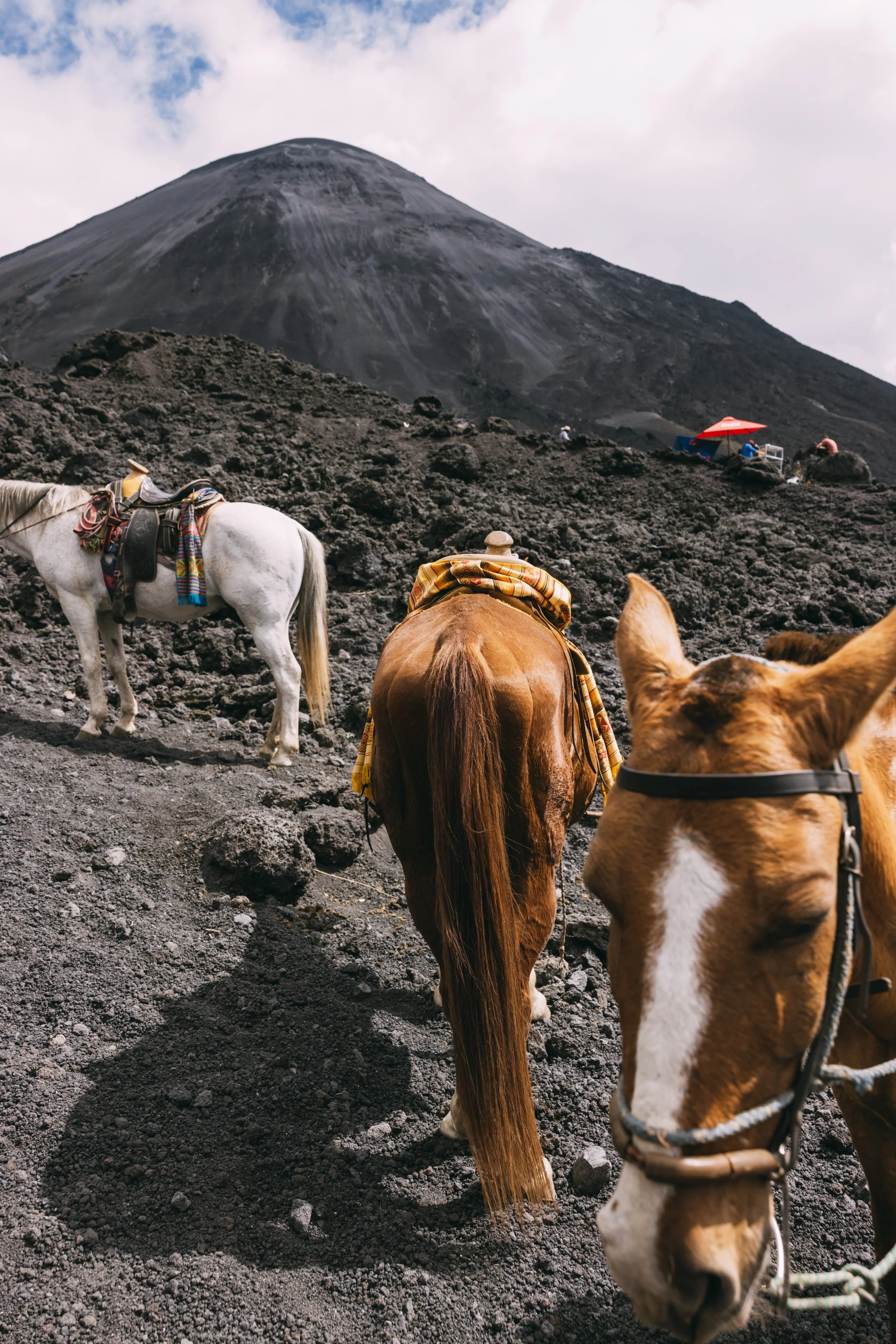 Flashpack_2025_Guatemala_Volcano_Hike_Alina_Tsvor2633.jpg