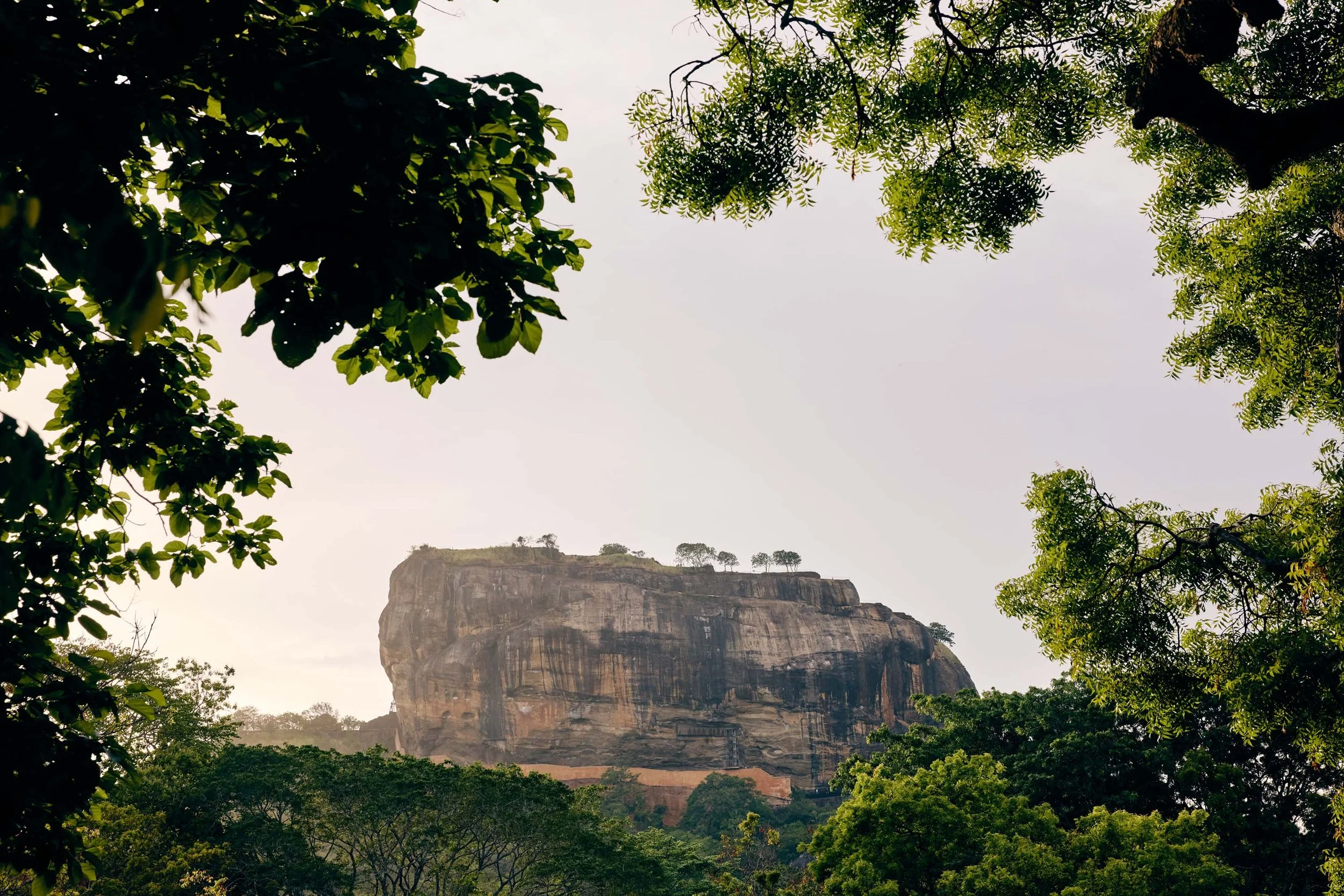 Sigiriya_Sri_Lanka_20260628_Alina-Tsvor_1104.jpg