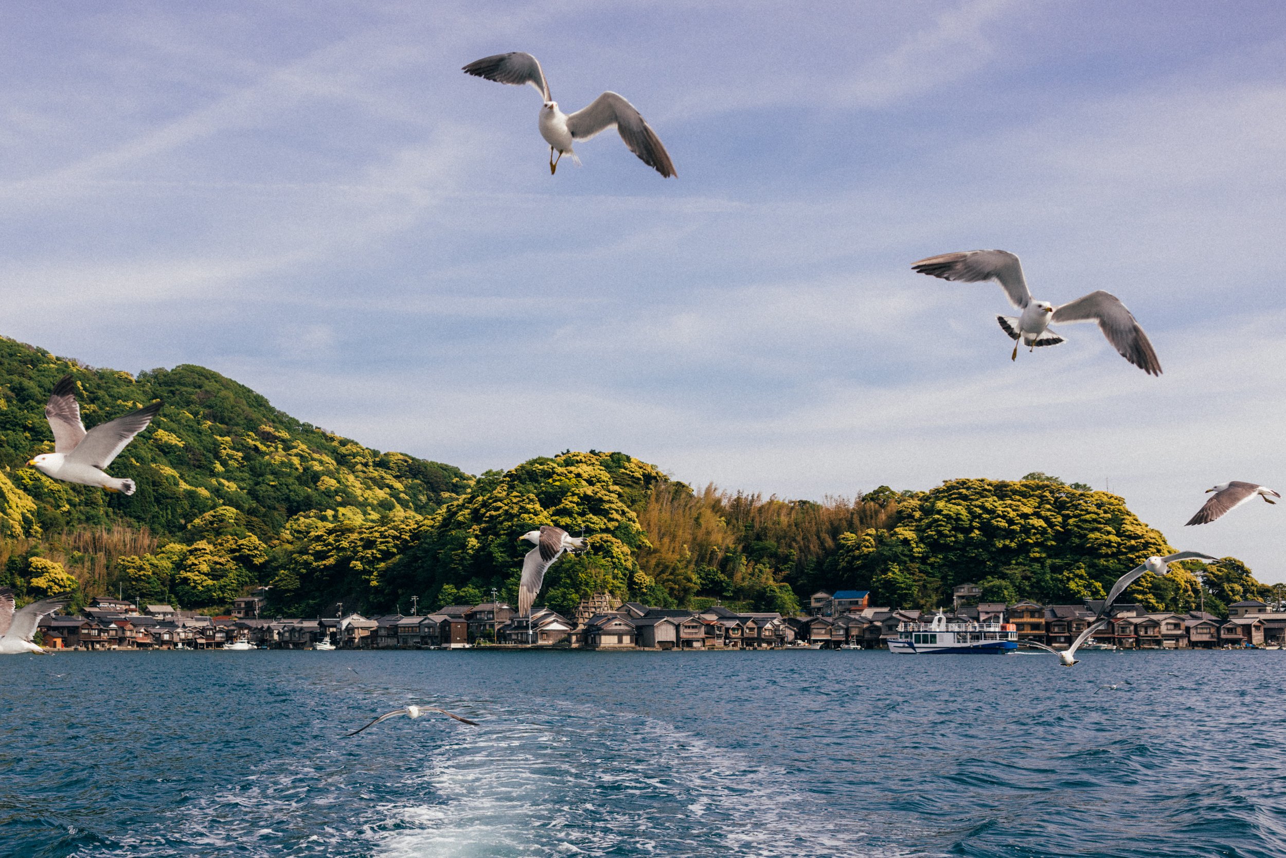 Ine_Kyoto_Japan_20230512_AlinaTsvor-893.jpg