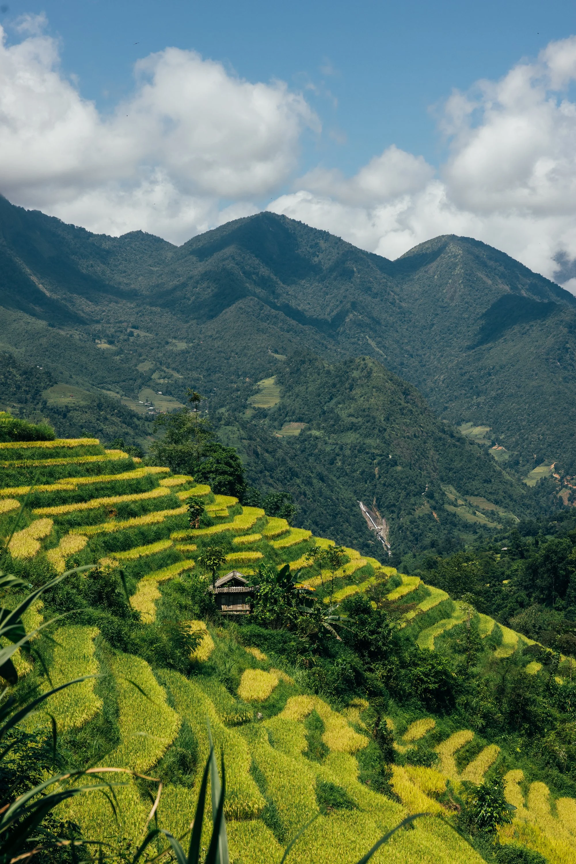 Sapa_Vietnam_20230822 (Alina Tsvor)-649.jpg