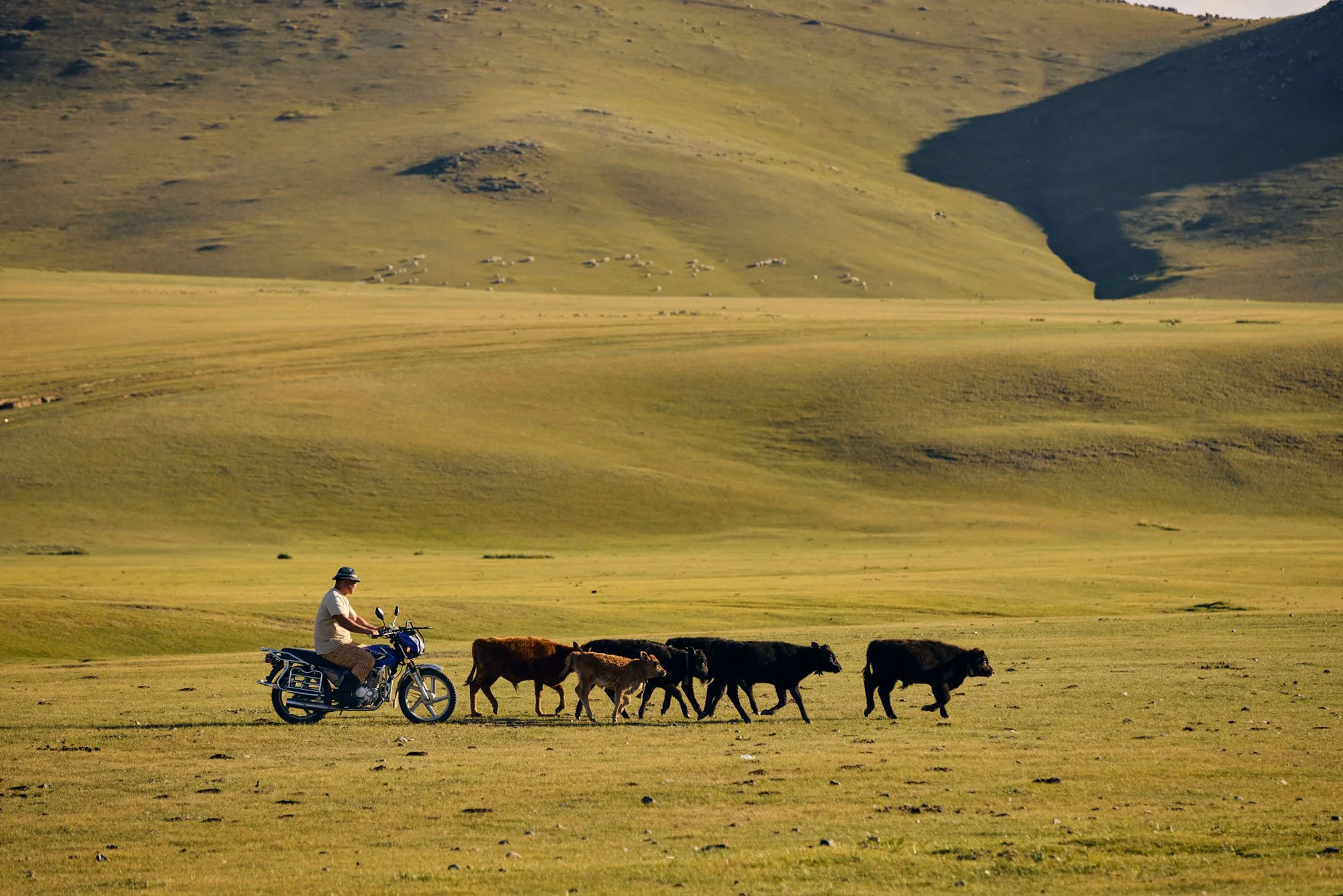 Kharkhorin_Mongolia_20260911_Alina-Tsvor_1219.jpg