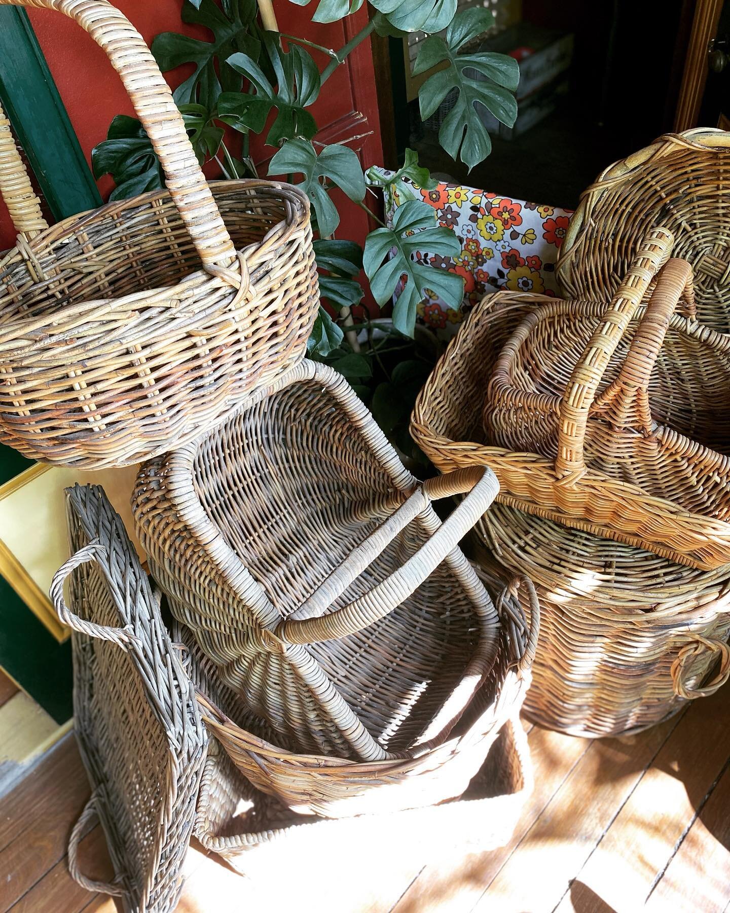 - Vintage Wicker 

Lots of beautiful vintage wicker pieces available from $35 each.

Uki showroom on weekends and other times by appointment.

Call 0477 766 461.

#wicker #wickerbasket #wickerbaskets #wickerbasketstyling #vintage #vintagestyle #uki #