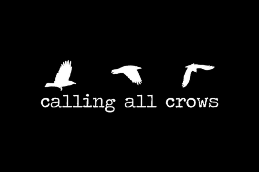 Calling All Crows