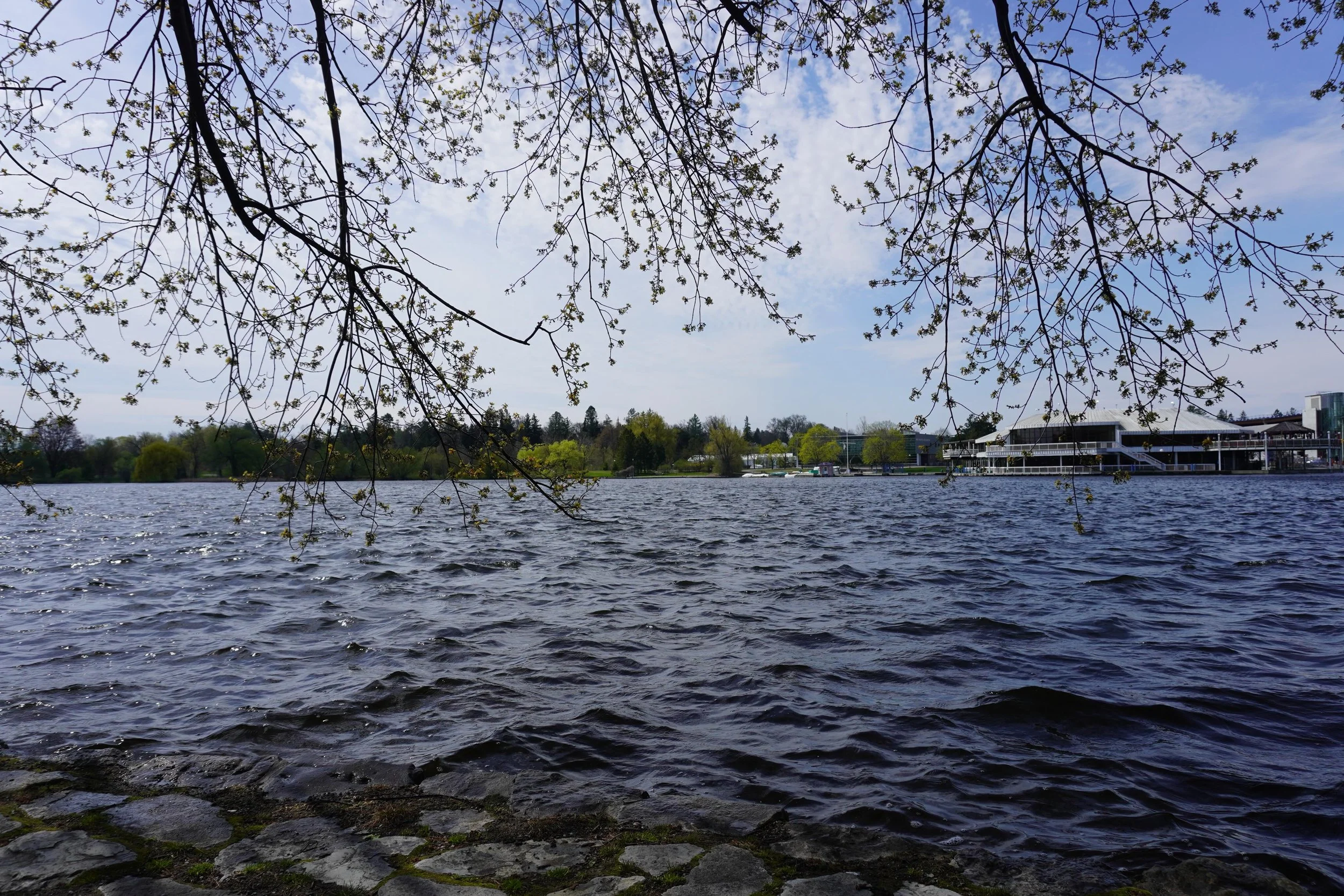 🎧 listen to episode 109 &mdash; link in bio

in this episode, we explore Dow&rsquo;s Lake sonically just before the tulip festival as part of the host, Charlie&rsquo;s, rediscovery of the city they&rsquo;ve lived in for so long but don&rsquo;t know 