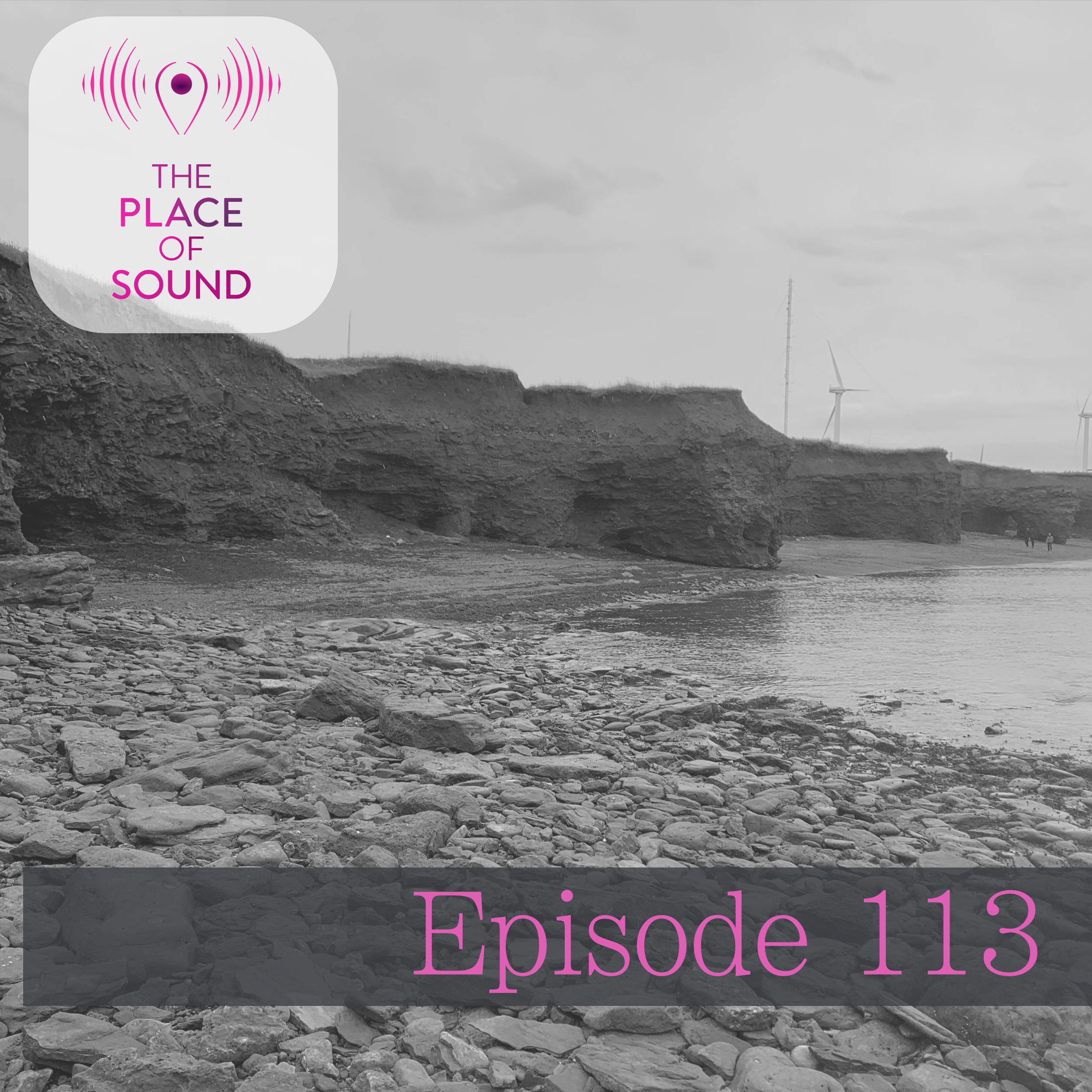 episode 113