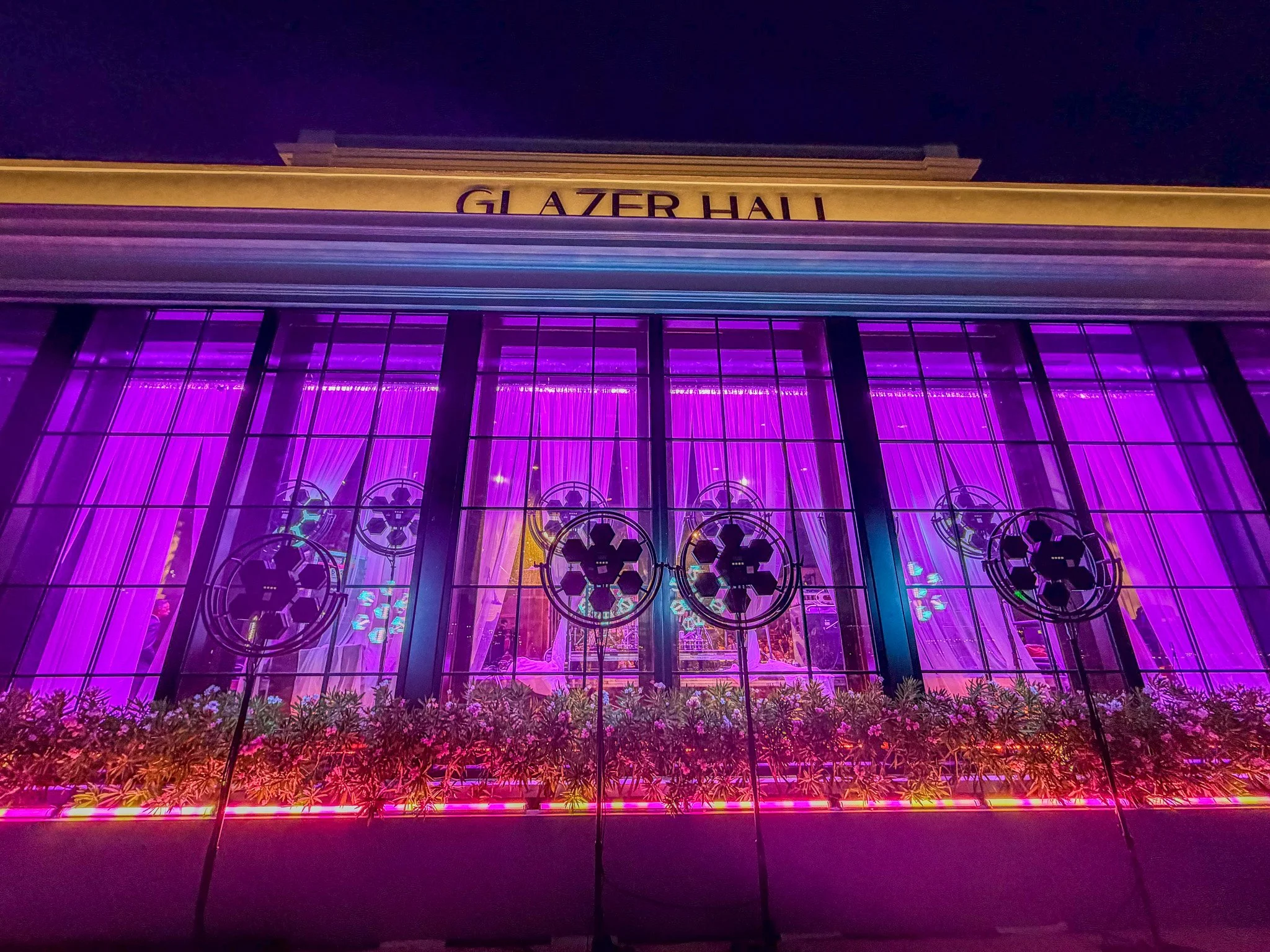 back windows magenta.jpg