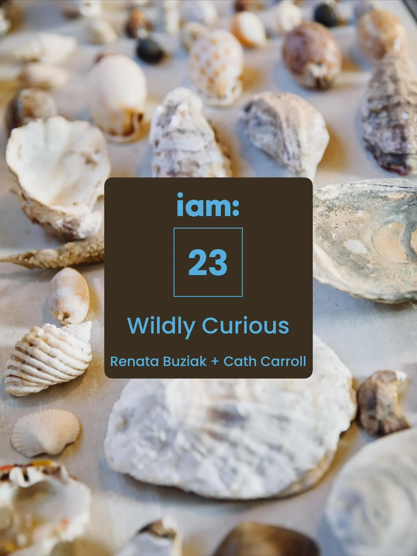 Stop 23 | Wildly Curious 

Renata Buziak &amp; Cath Carroll present 
Wildly Curious - an exhibition that celebrates what it means to explore, experiment and be endlessly inspired.

Step inside Wildly Curious at Whale Tail Gelati &amp; Coffee Bar, and