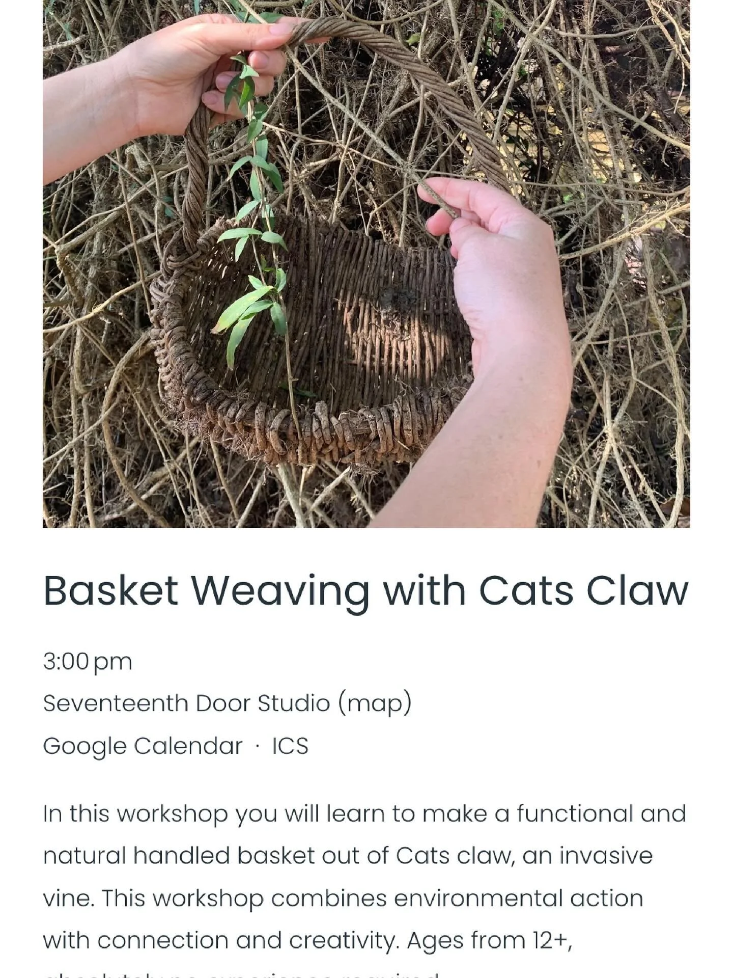 Environmental Action teams up with CONNECTION and CREATIVITY
