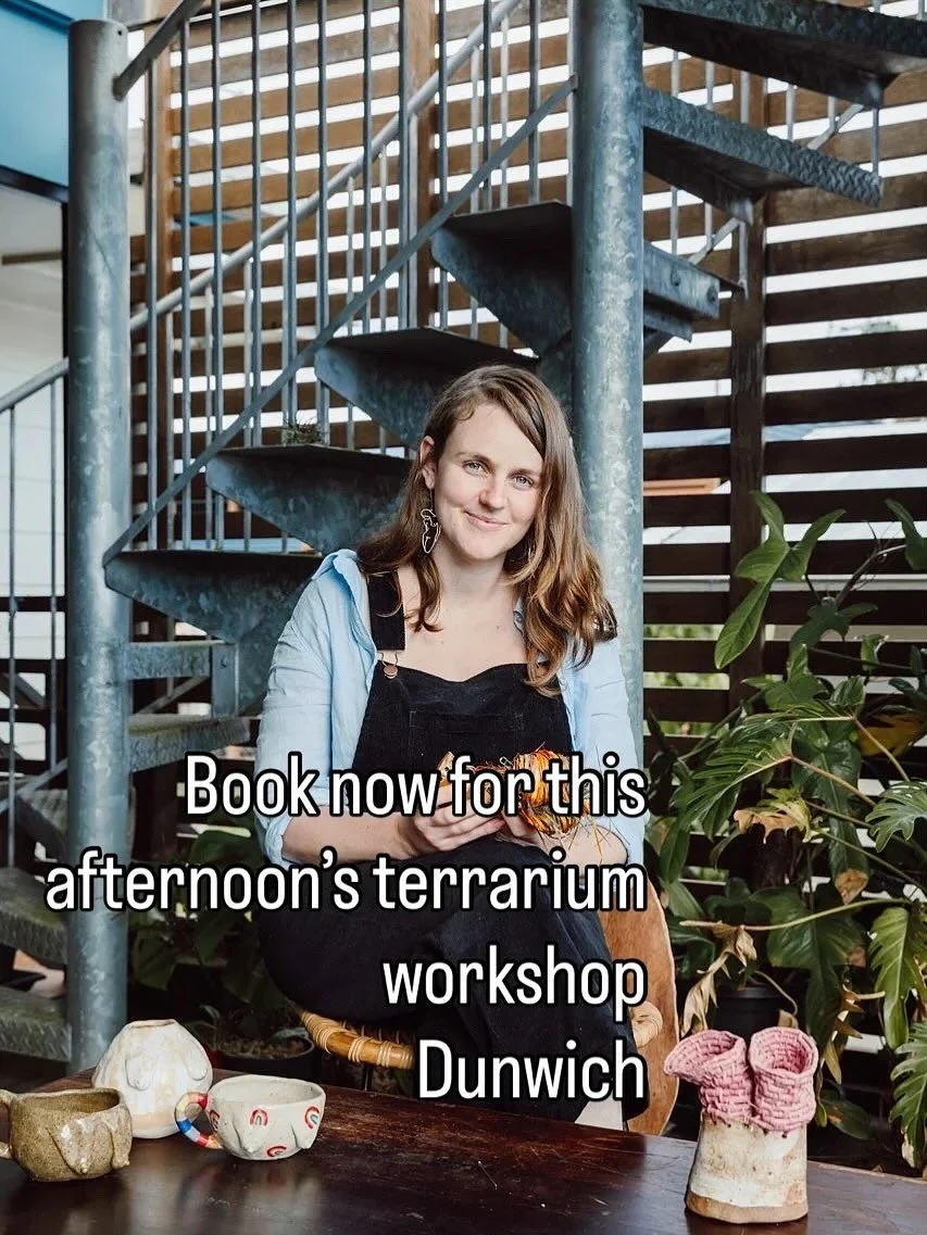 Sign up for this wonderful workshop and bring home a small world to cherish and protect.