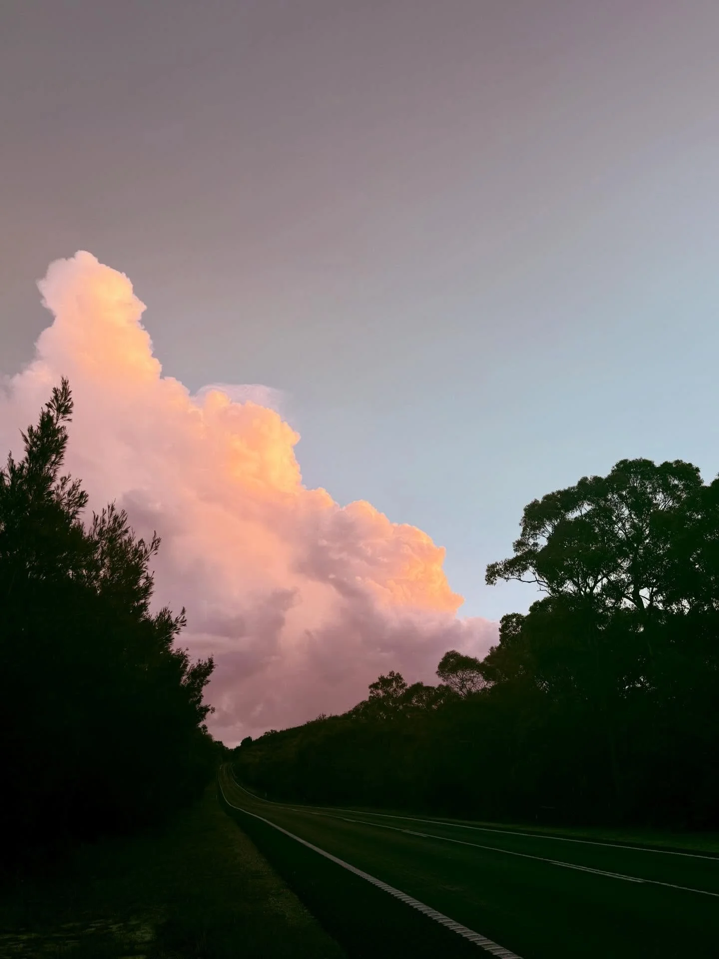 🌿 2026 Straddie Arts Trail

Join us to celebrate the creativity, culture and natural beauty of Minjerribah / Terrangee/ North Stradbroke Island.

The trail spans three townships, each offering a different experience - from studios and galleries to c