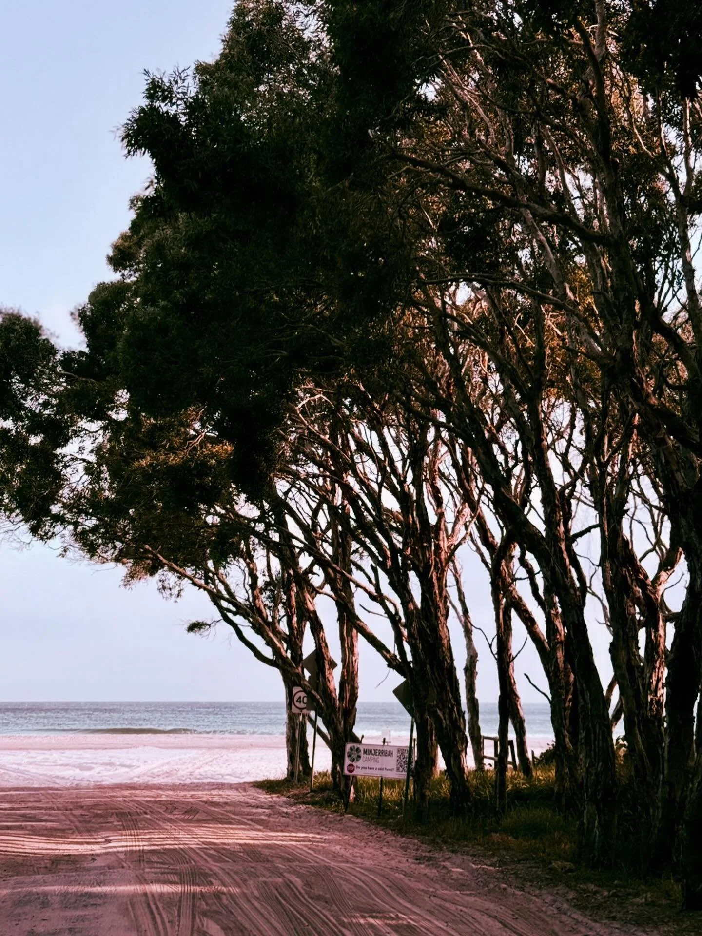 Straddie Arts Trail 2026

Our trail is an invitation to slow down, wander, and reconnect 🧘🏼with creativity, with nature, and with yourself.

Follow the paths, take the turn-offs, and discover the island through the eyes of the artists and makers wh