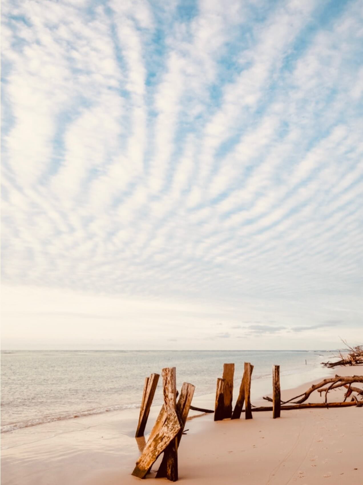 You&rsquo;re invited&hellip;

Join us for the 2026 Straddie Arts Trail.
Bring your creative self, unplug for a while, and just be.

Be creative. Be curious. Be inspired.
Or simply be still, reflective, and present.

Whatever you need &mdash; you&rsqu