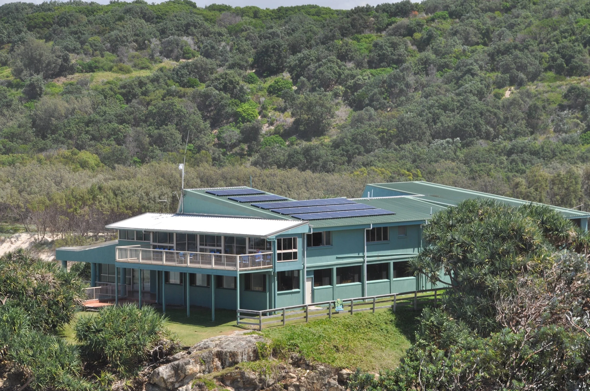 surf club1.jpg