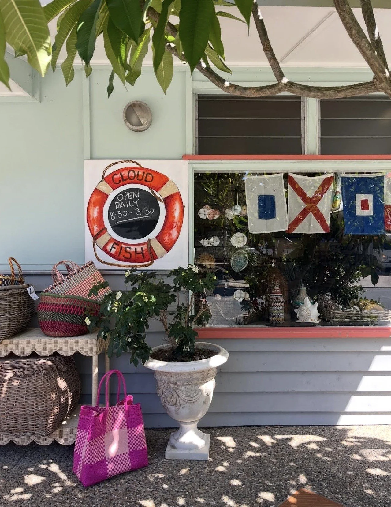 Cloud Fish Bookstore           &amp; Gallery