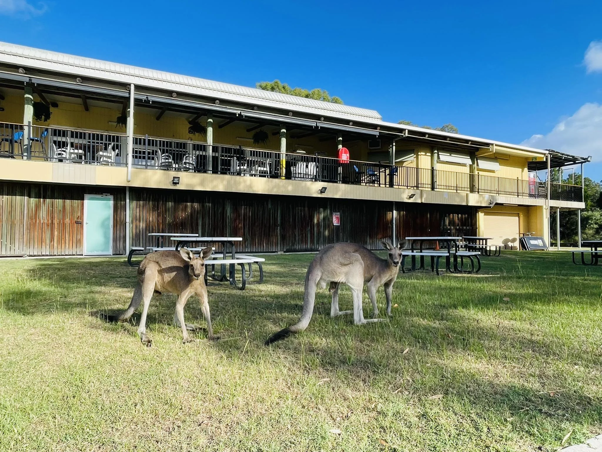 Amity Point Community Club