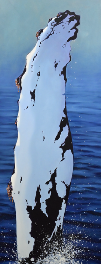 chris better whale pic.png