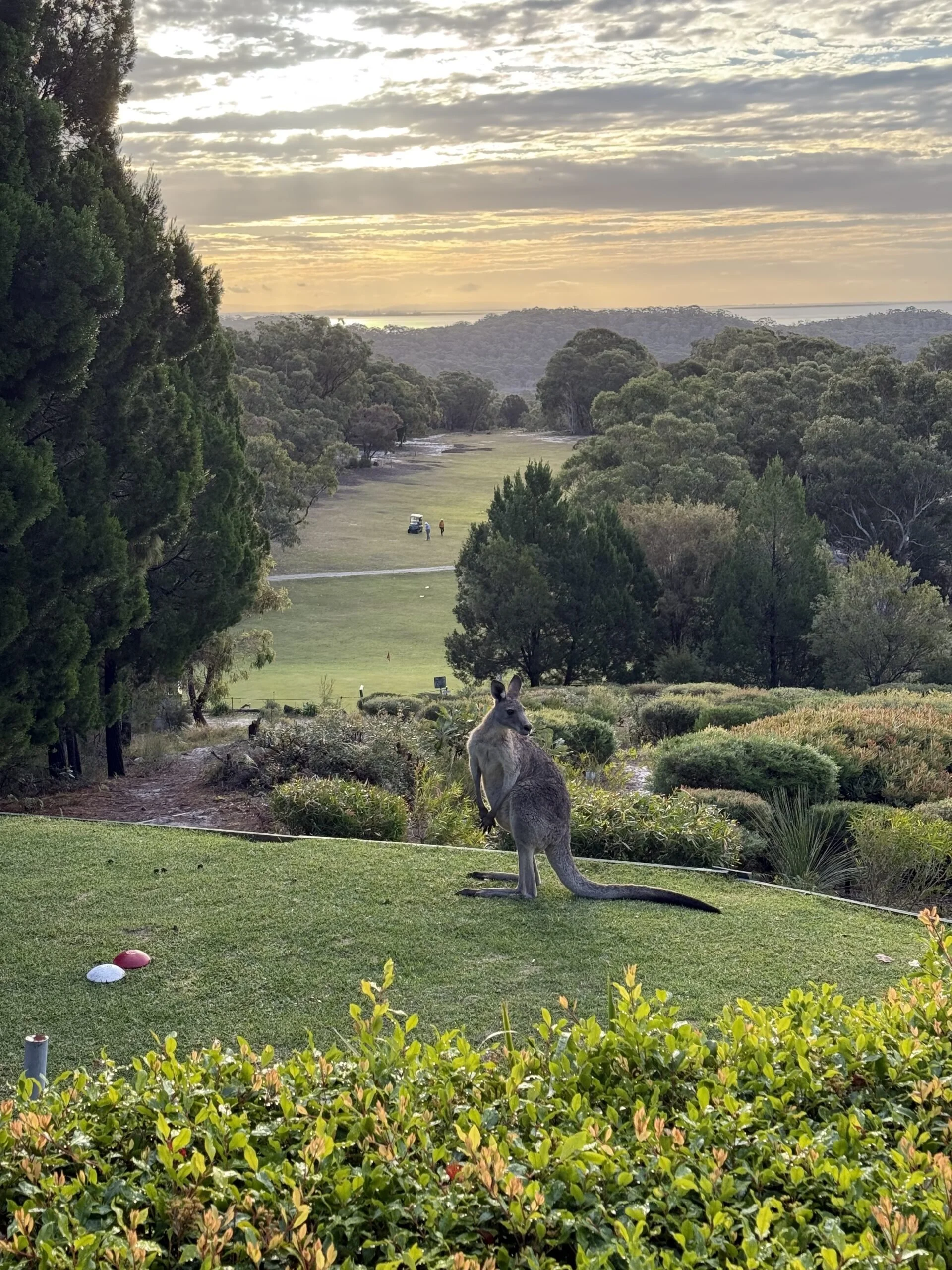 high tea 2.jpeg