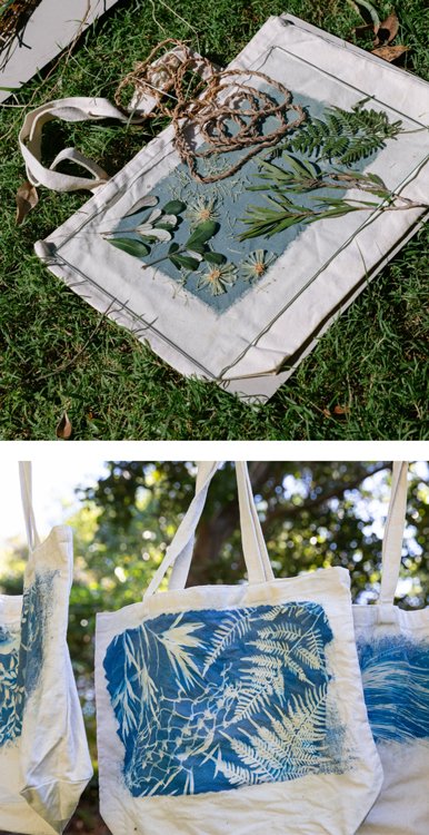 ArtsTrail-Renata-Leecee-cyanotype-process-2026-Julie-Sisco.jpg