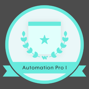 Badge 16