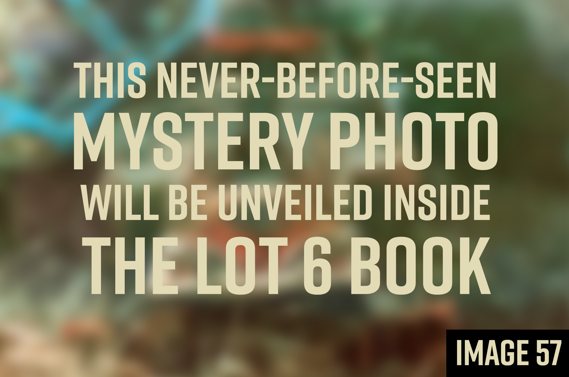 Slideshow in order  (8).png