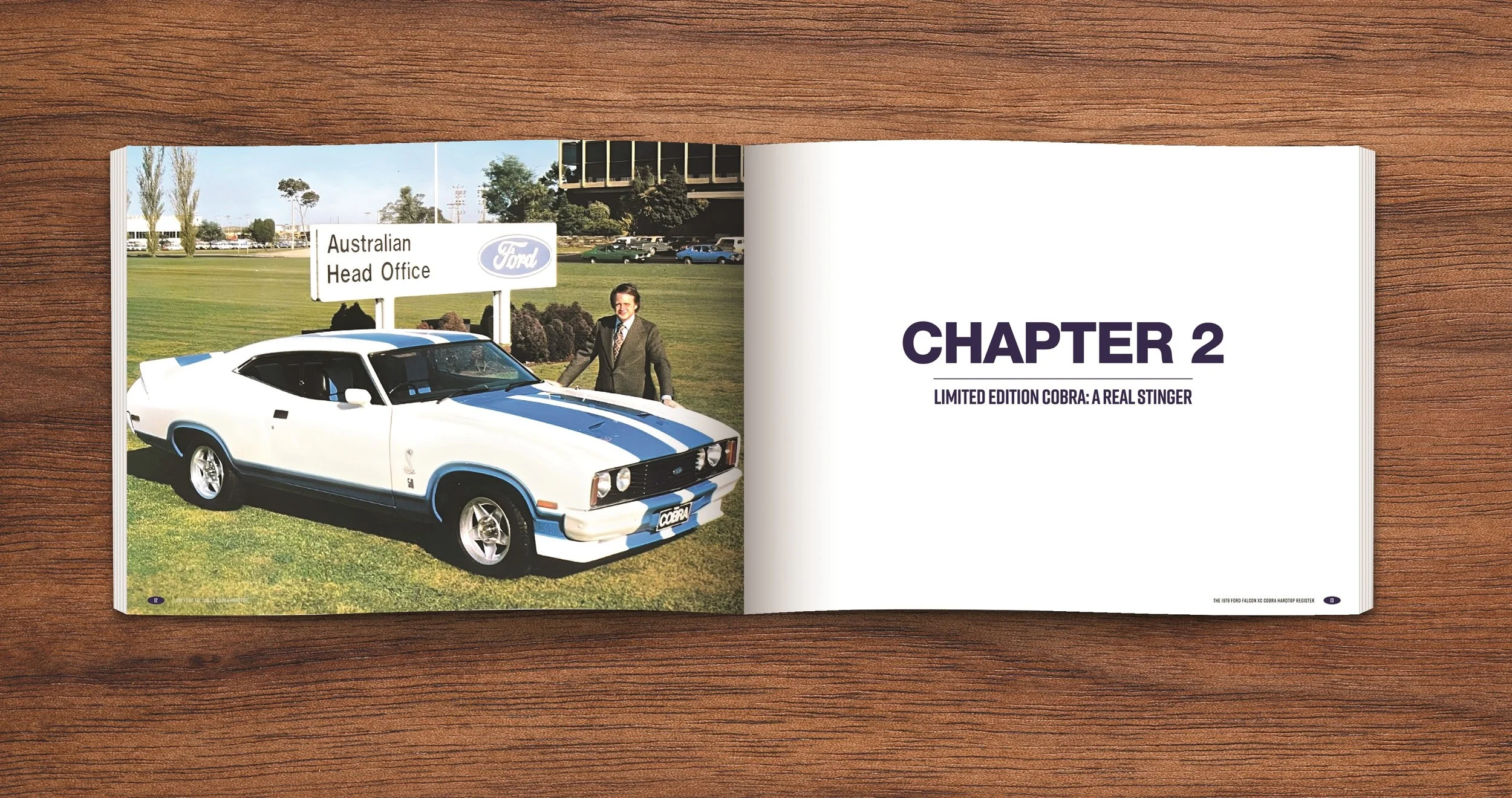 3. Open book spread COBRA - FINAL.jpg