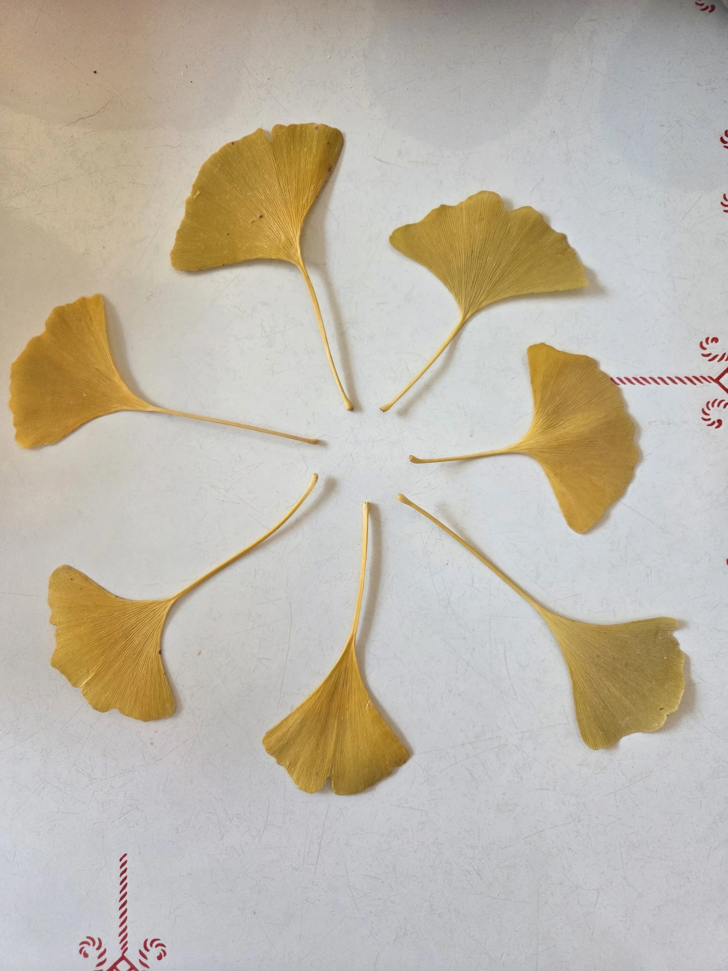 2 classes Punch card