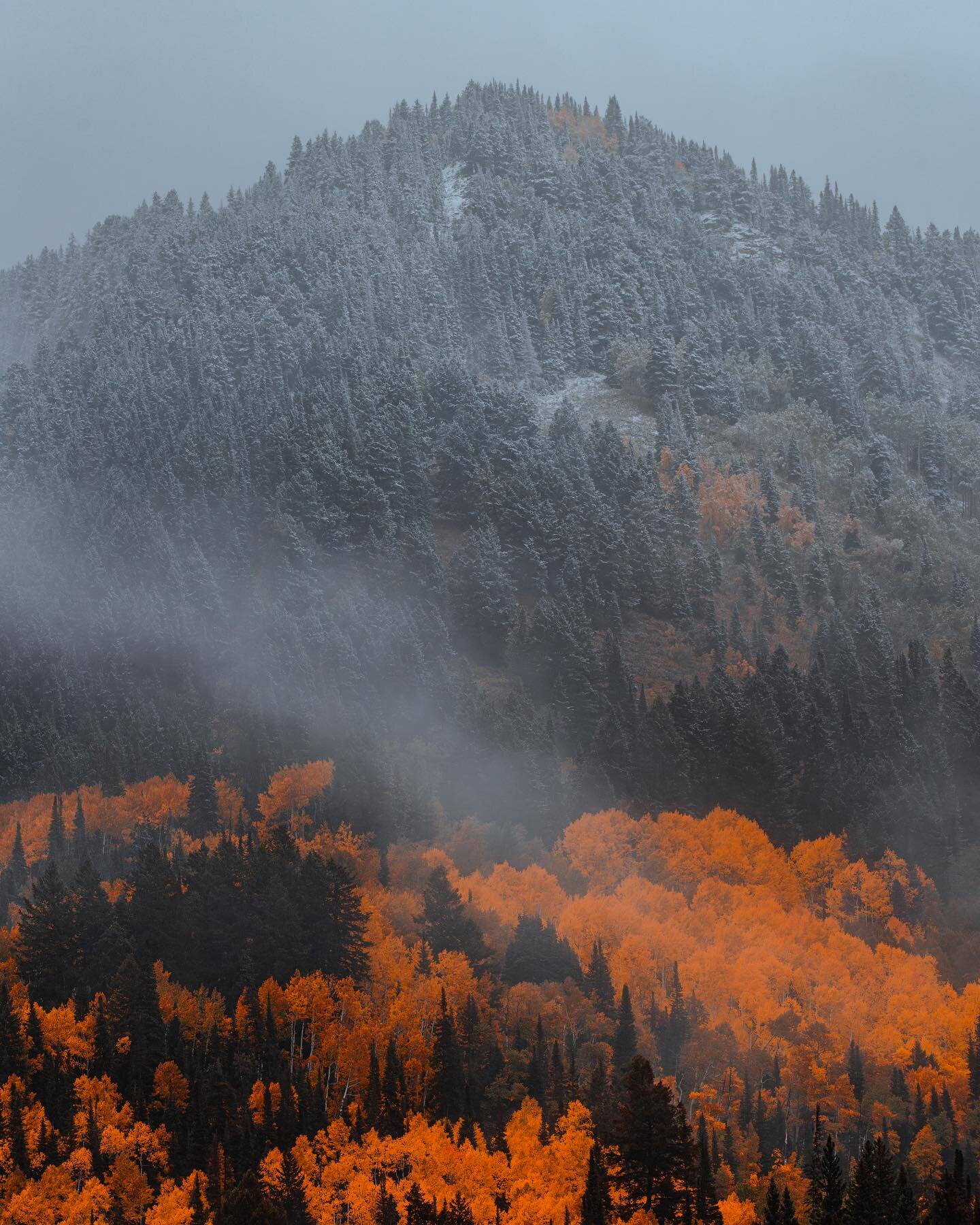 Lil Cottonwood Canyon - Oct. 2nd, 2023 

Our timing was impeccable coming down the canyon. The storm lifted allowing us to view the ridges as the fog cleared. Fall is in full effect in Utah. I love to shoot in storms because it creates textures that 