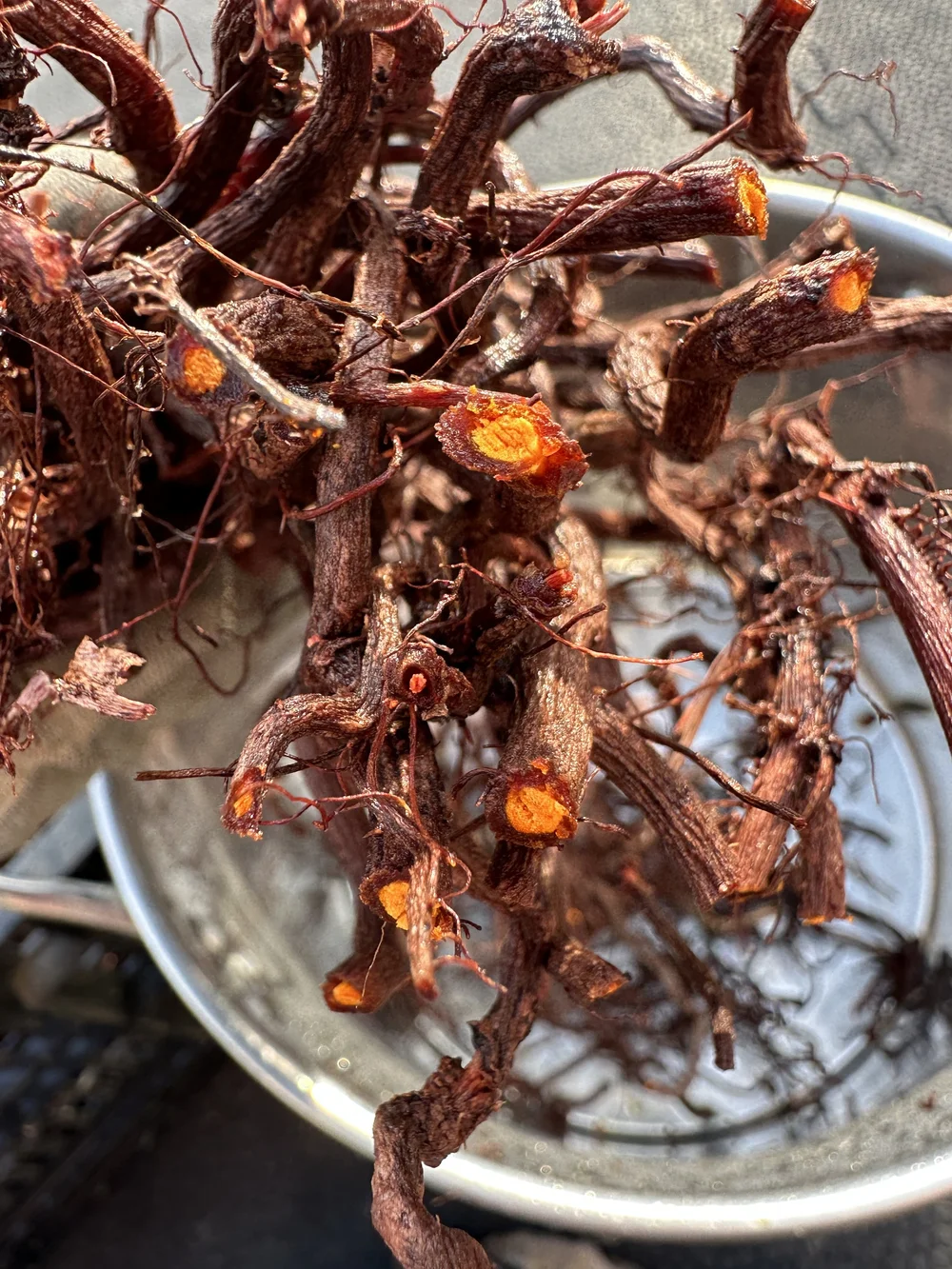 M*y様 5y Sweetheart Top Madder Root Patch Dried Madder Root