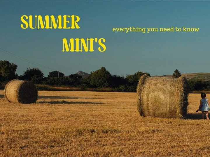 Here is everything you need to know before our summer mini sessions go live📸

These sessions are only 20 minutes long. They are fun filled and unposed, think of it as a play date for your kids in a field, playing silly games in the summer evening li
