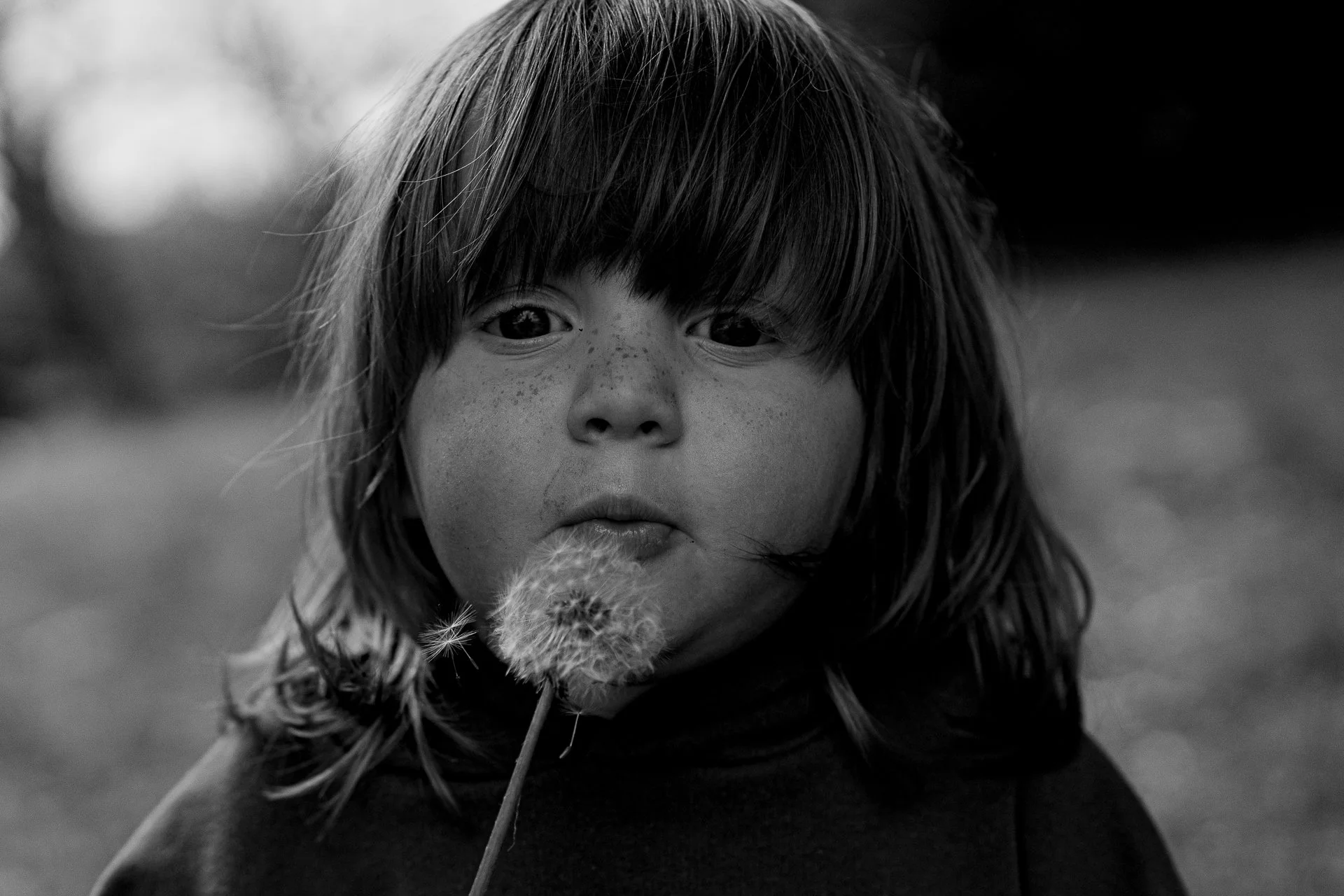 Close-up of a young boy with freckles and long hair, holding a dandelion near his mouth in black and white. Family photography scene
