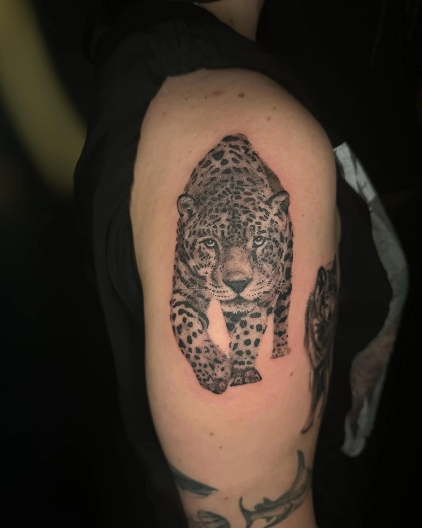 Late night sessions with @erinyourlungsss DM or book directly via website. Link in bio.